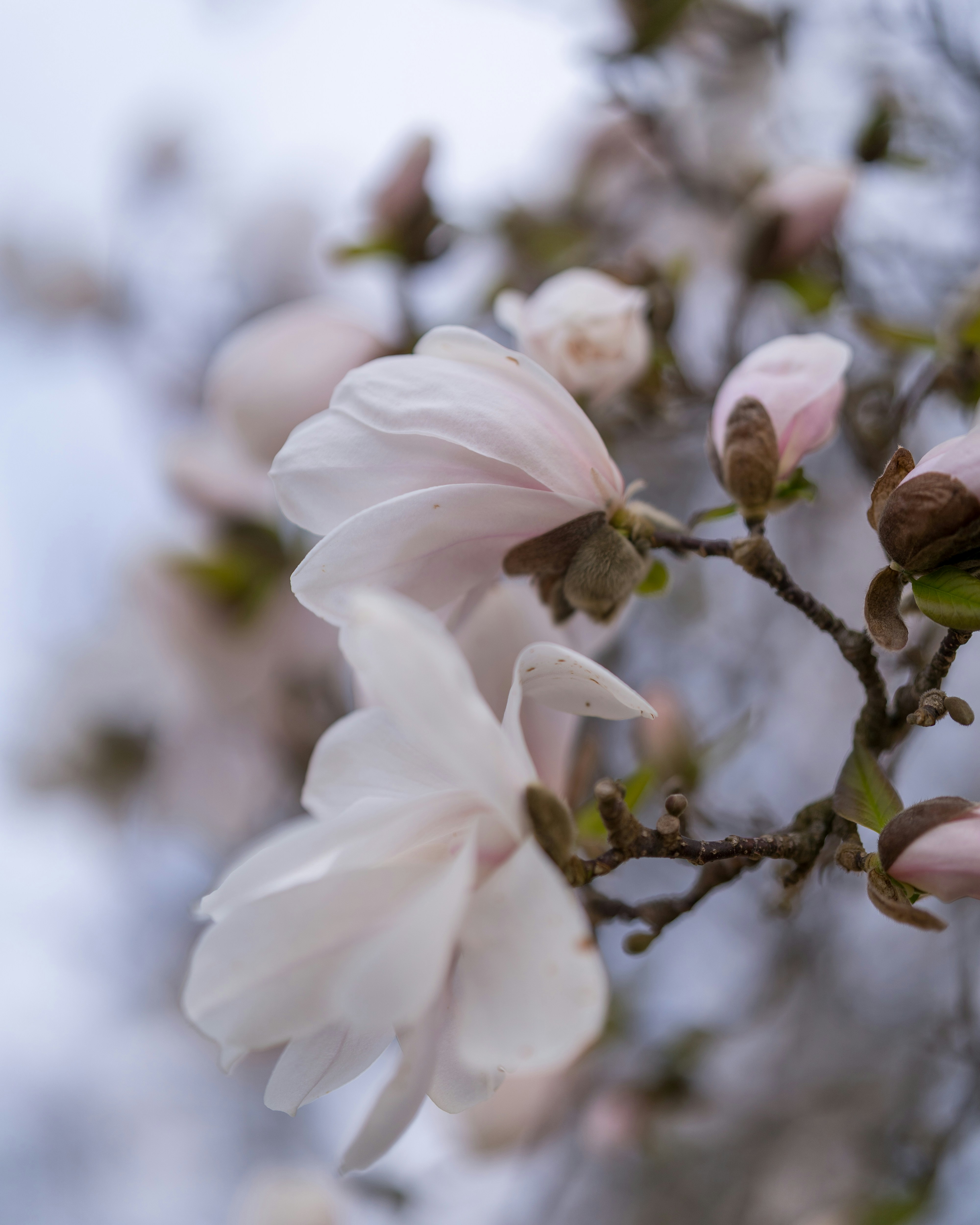 Photo by bangscreative