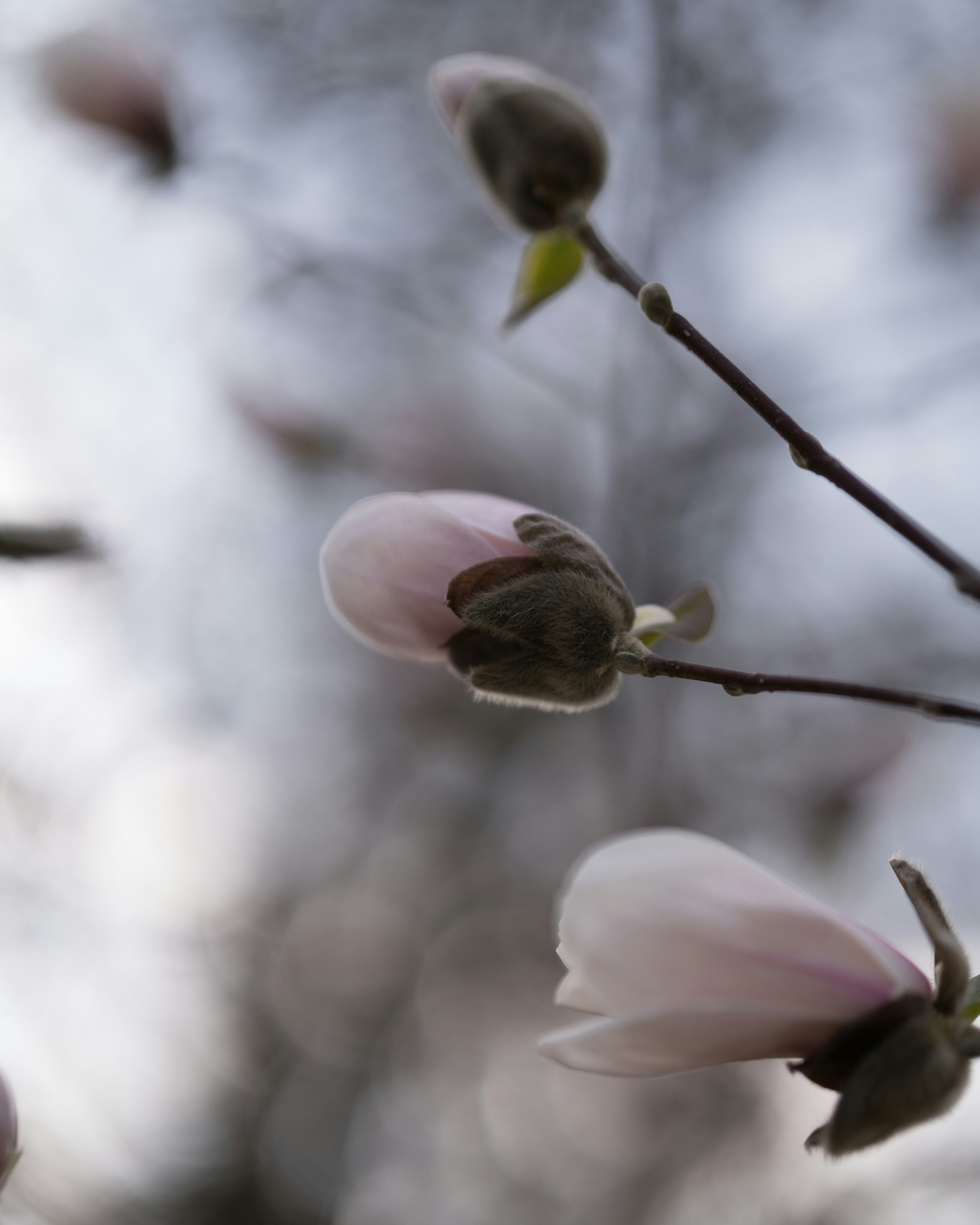 Photo by bangscreative