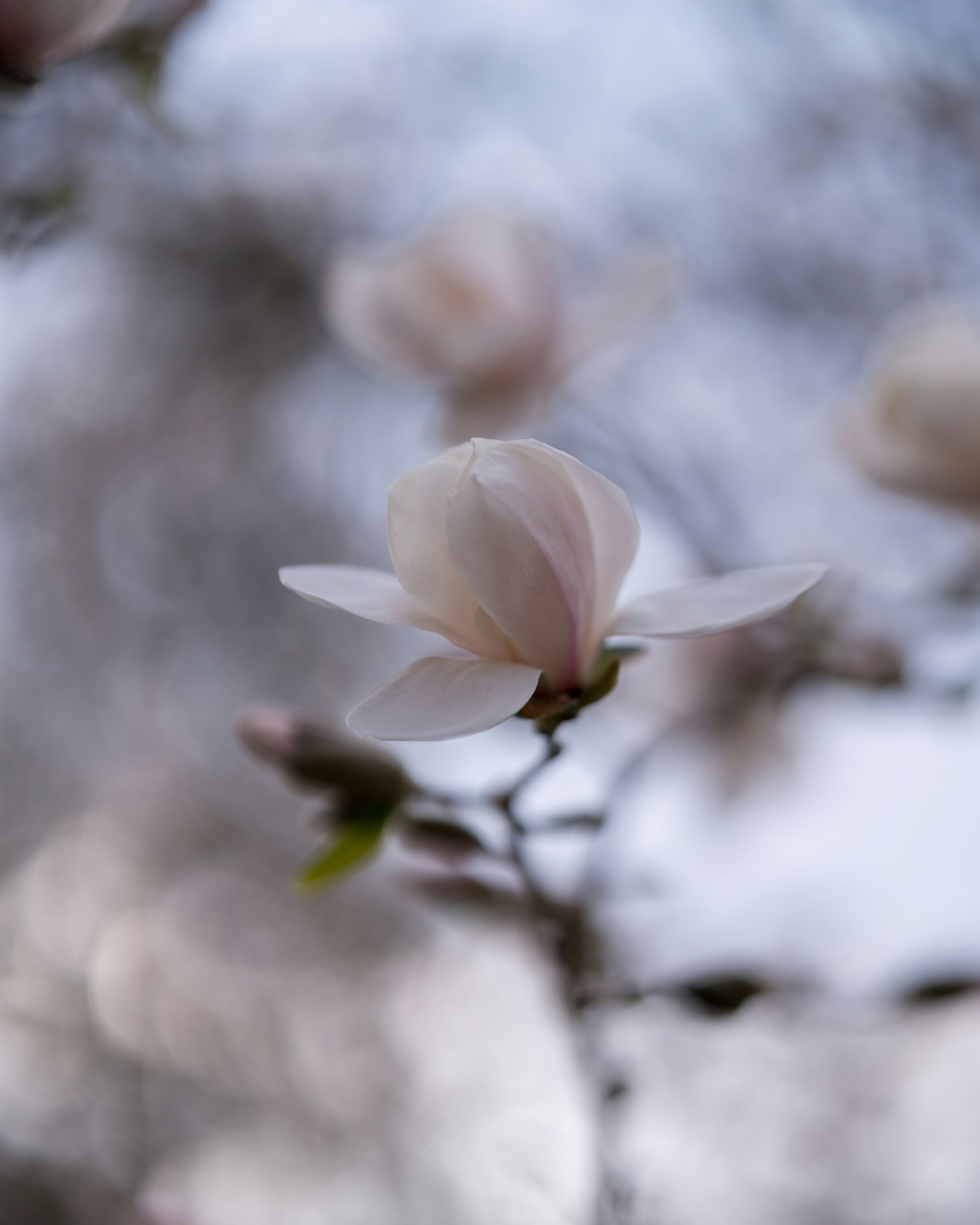 Photo by bangscreative