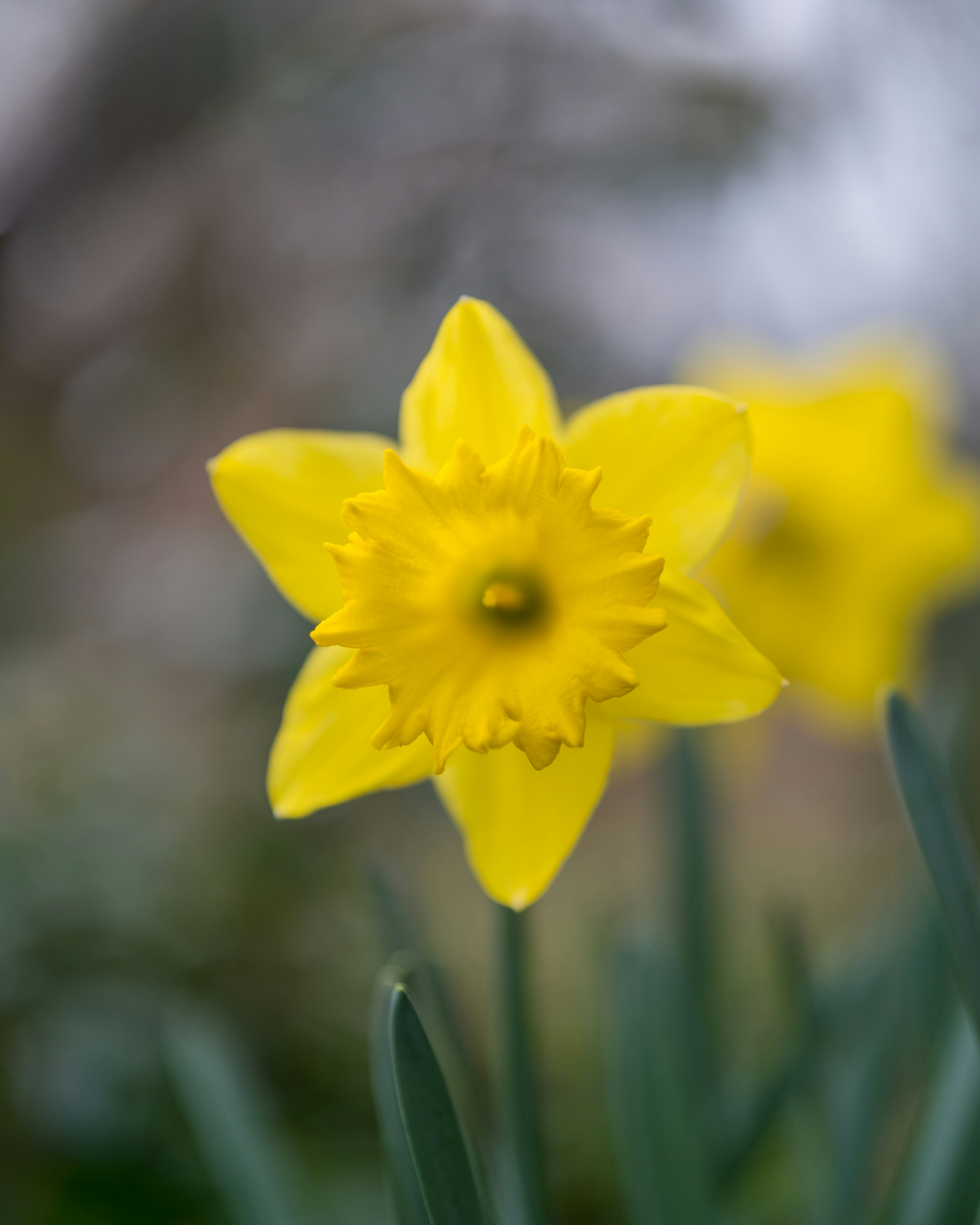 Photo by bangscreative