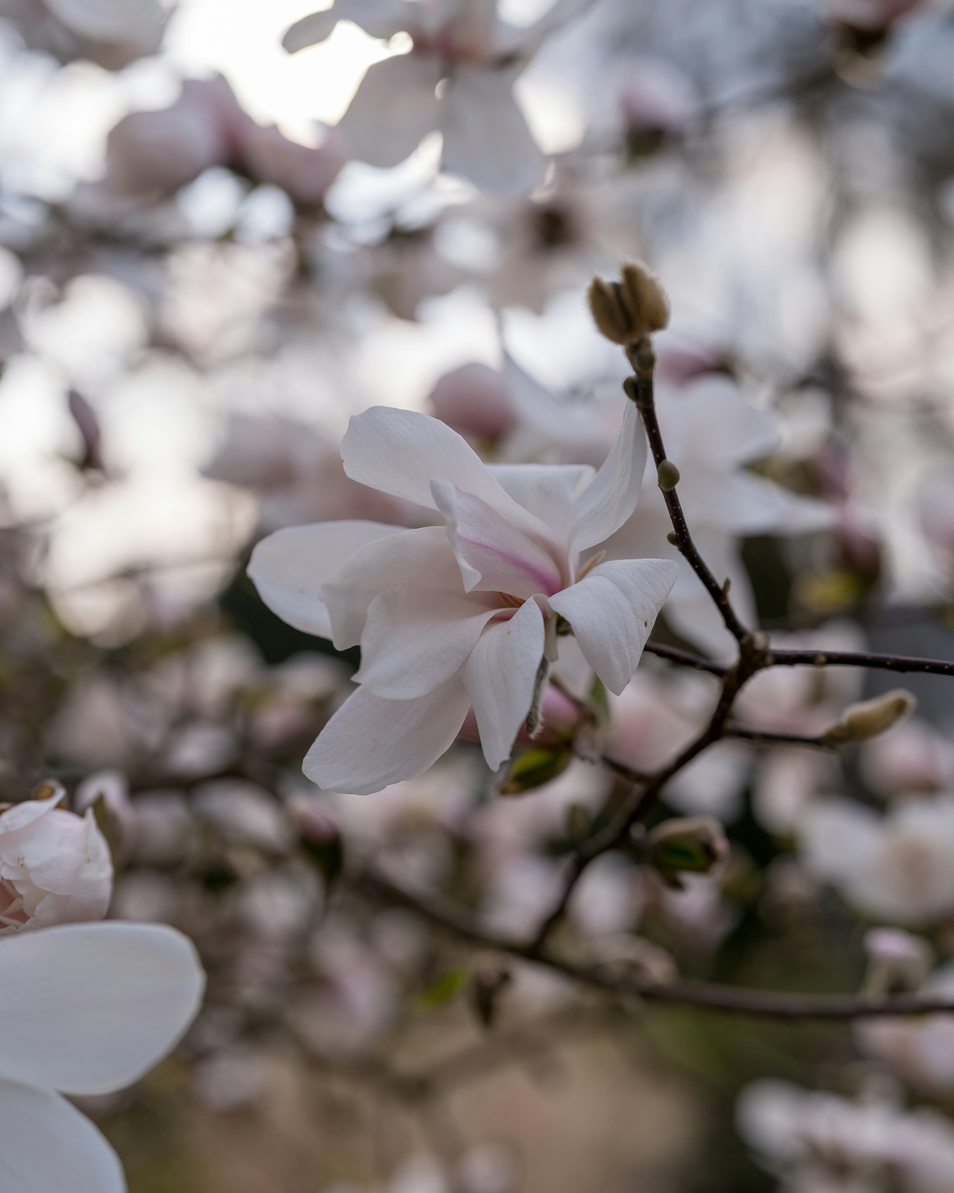 Photo by bangscreative