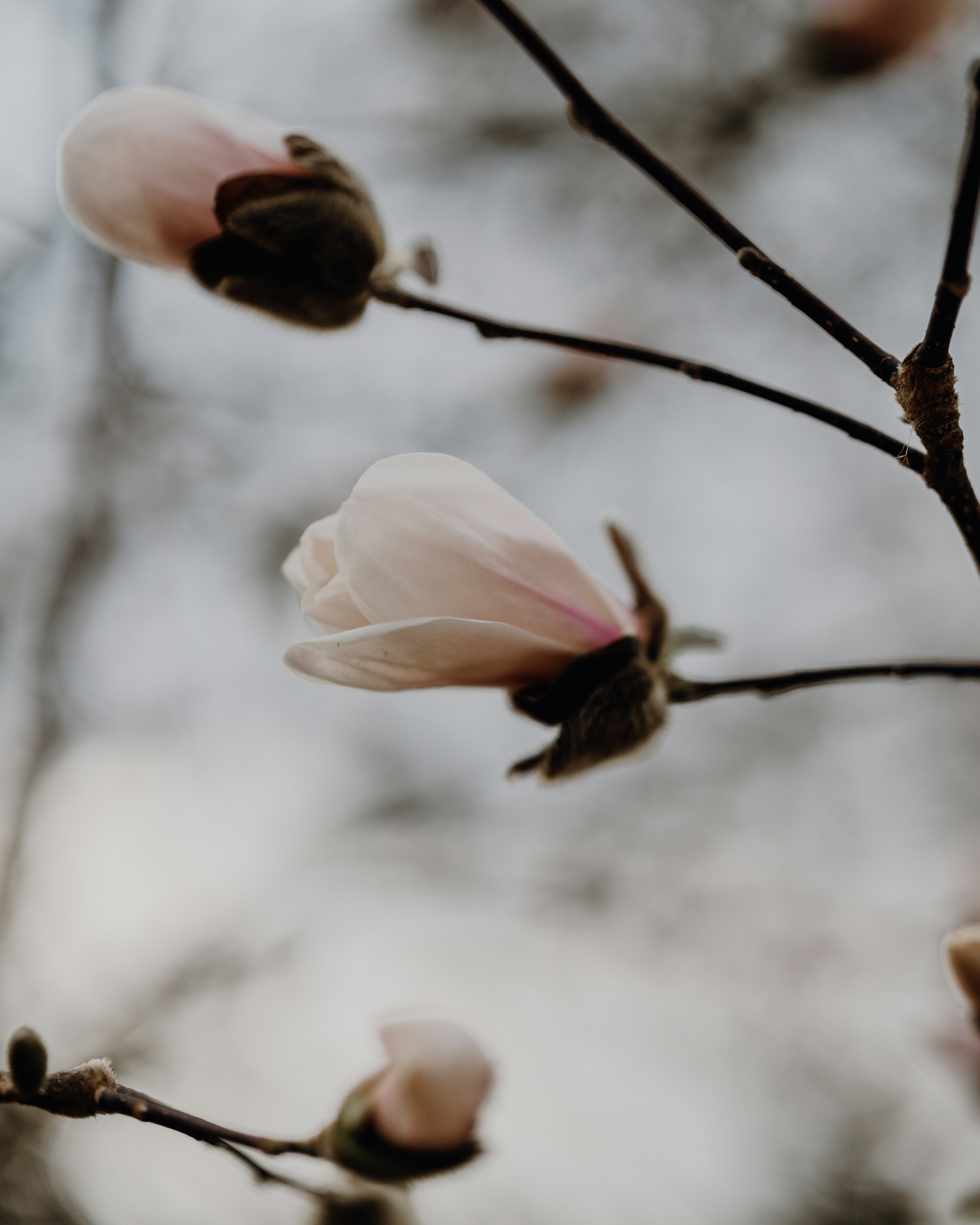 Photo by bangscreative