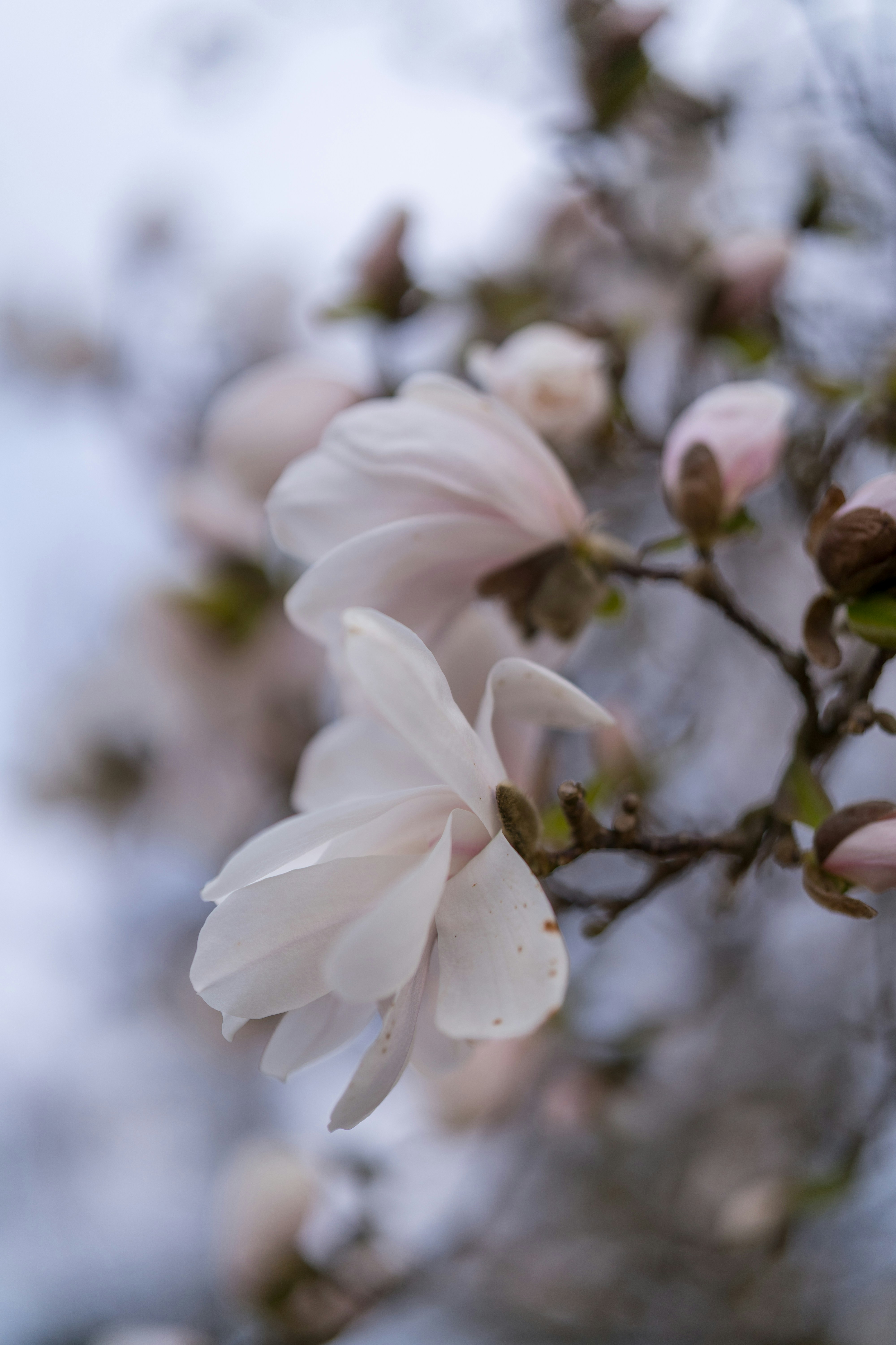 Photo by bangscreative