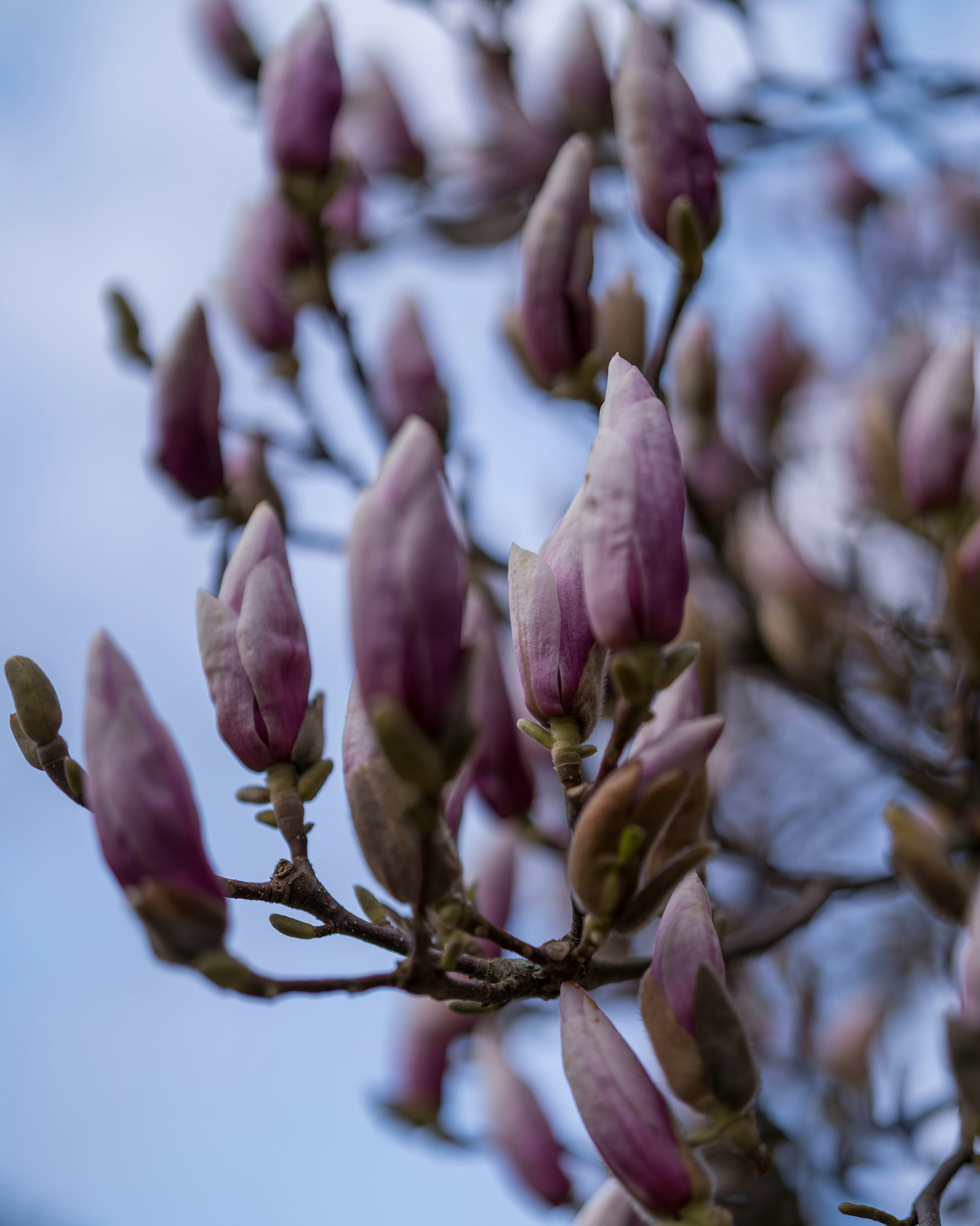 Photo by bangscreative