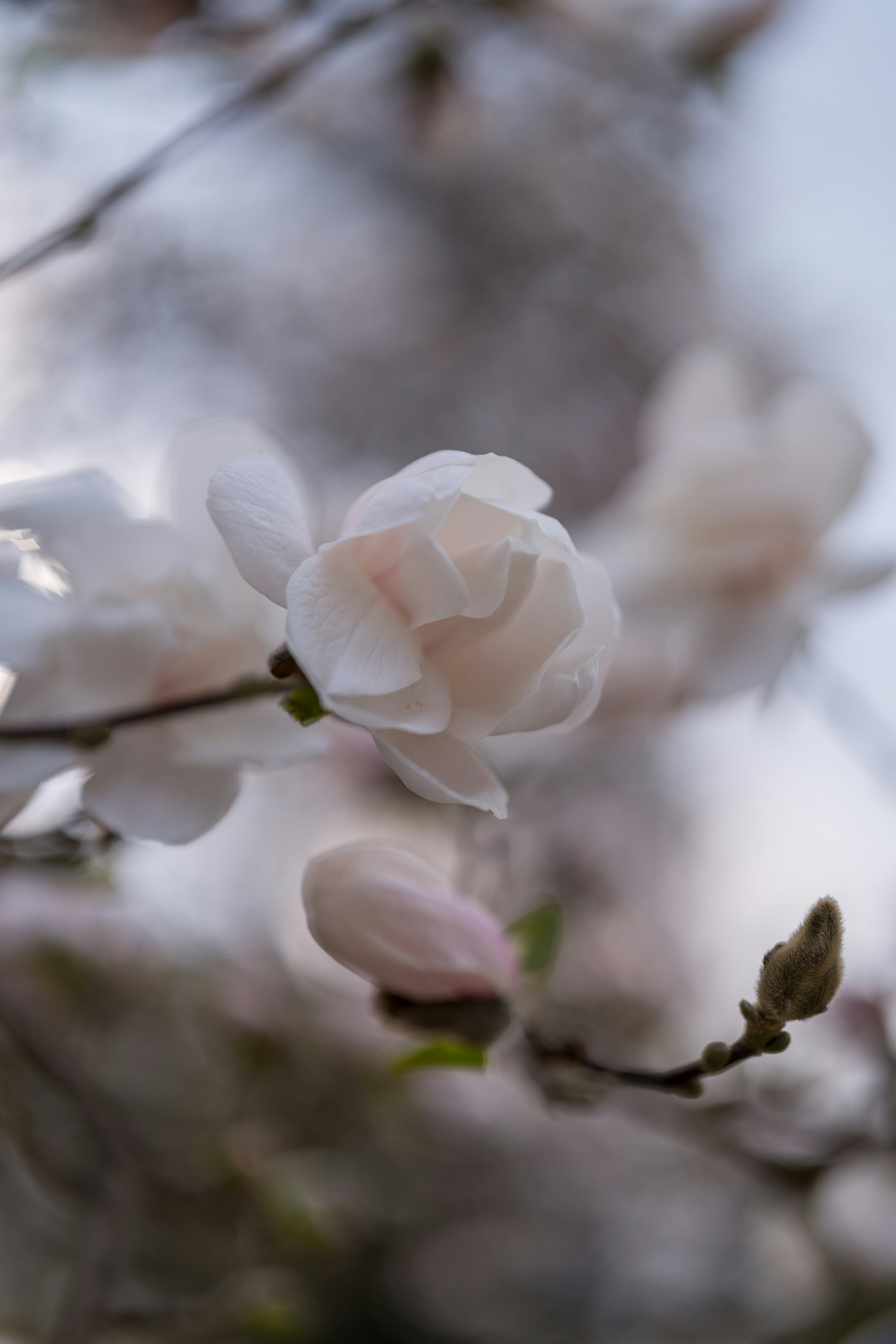 Photo by bangscreative