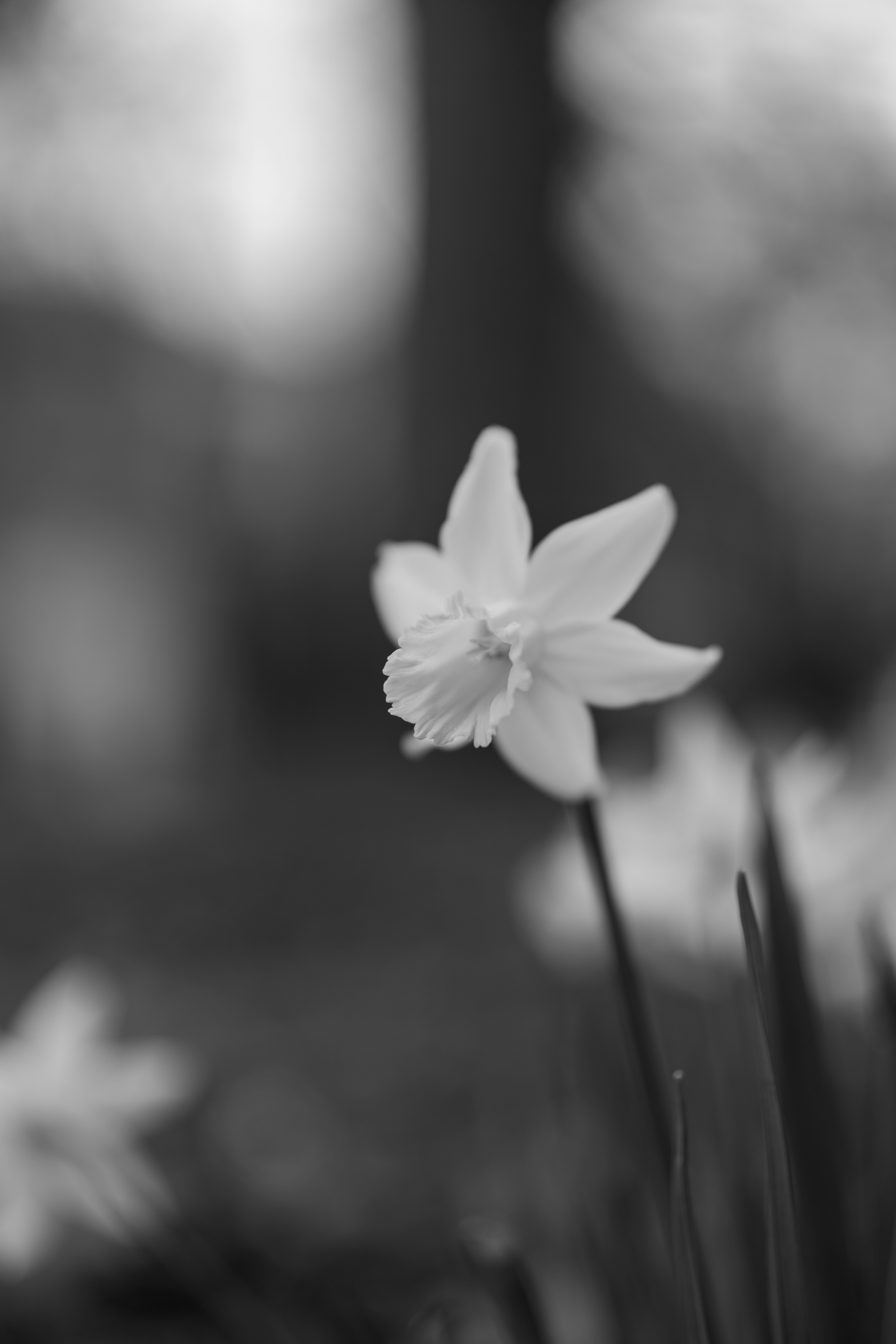 Photo by bangscreative