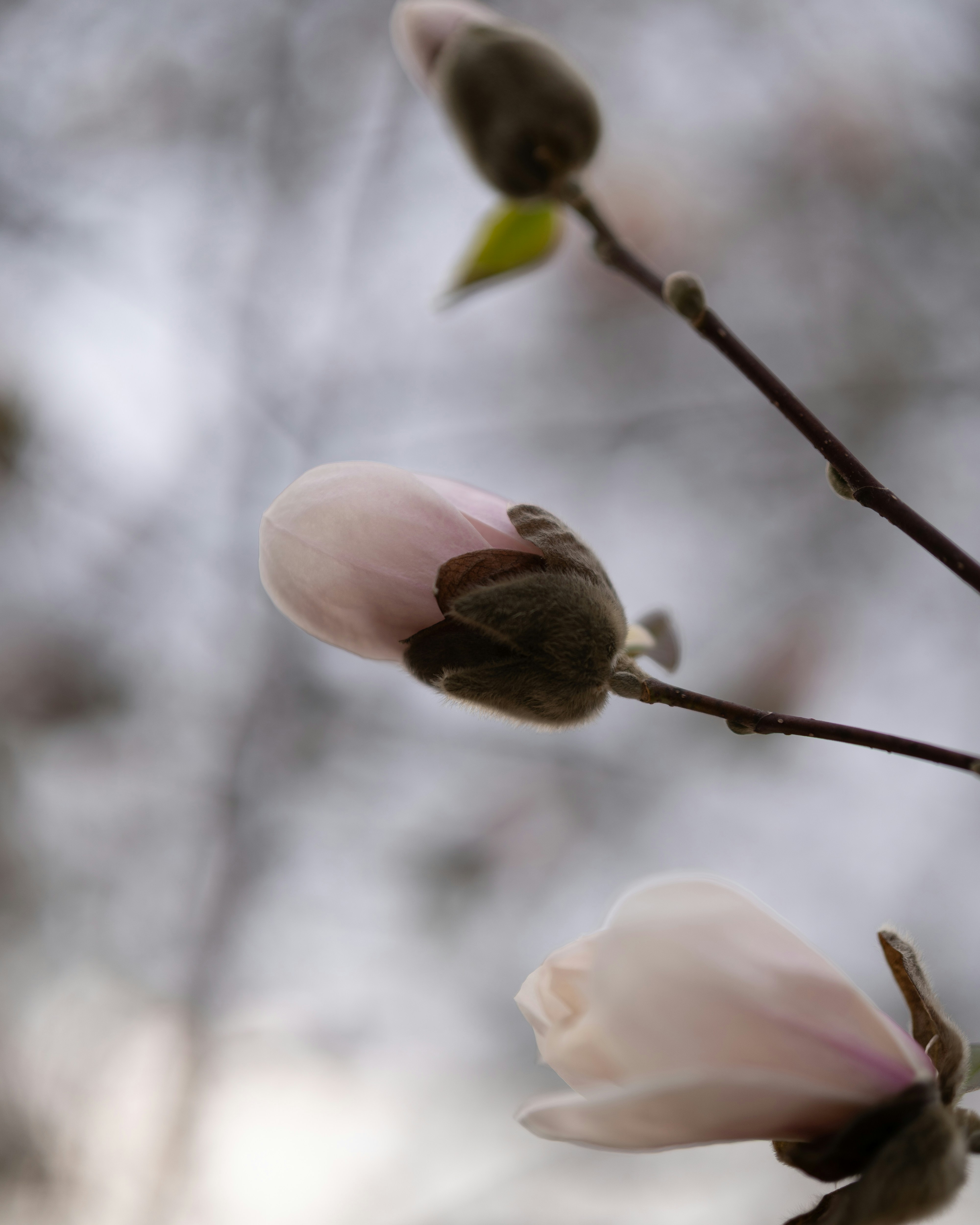 Photo by bangscreative