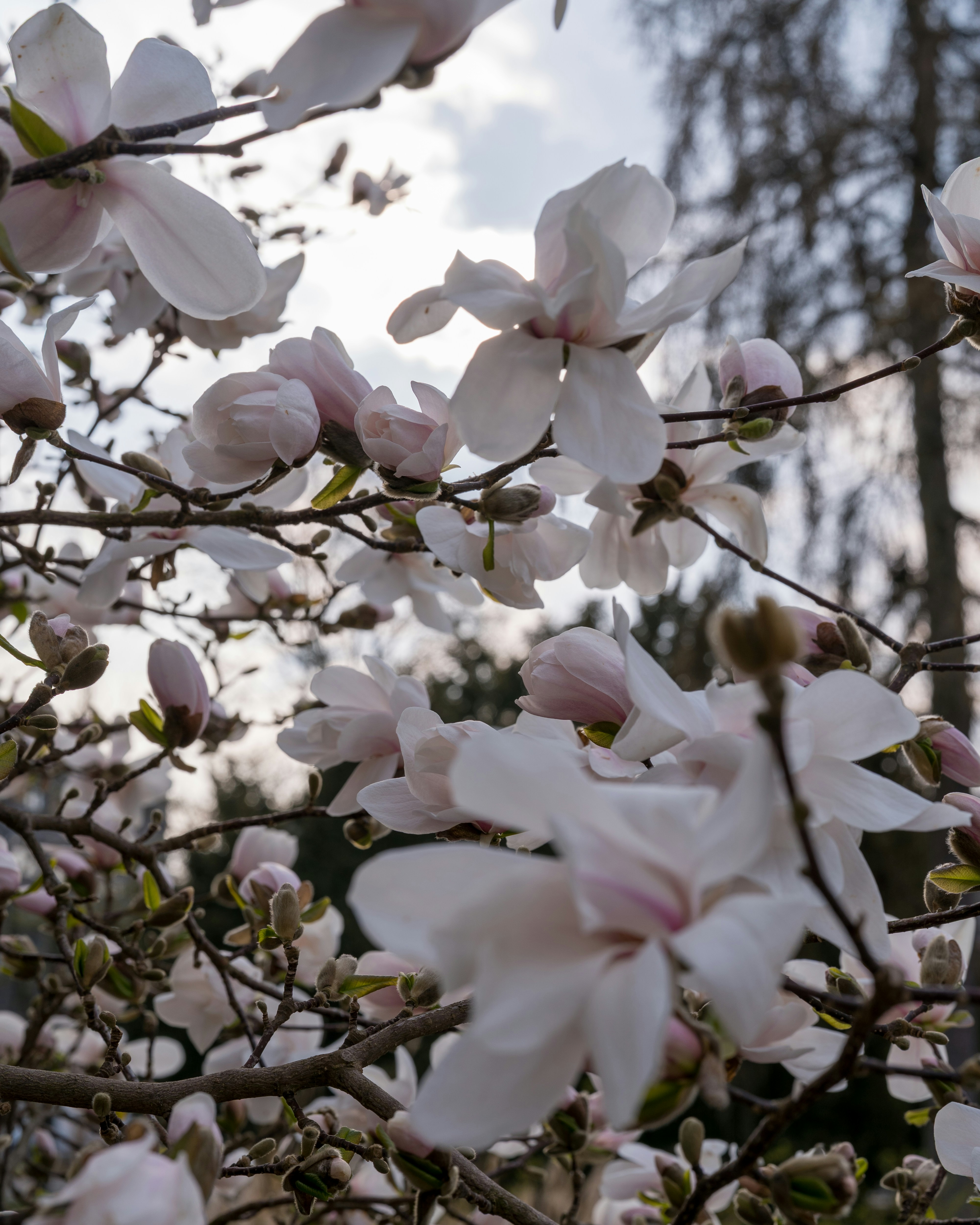 Photo by bangscreative