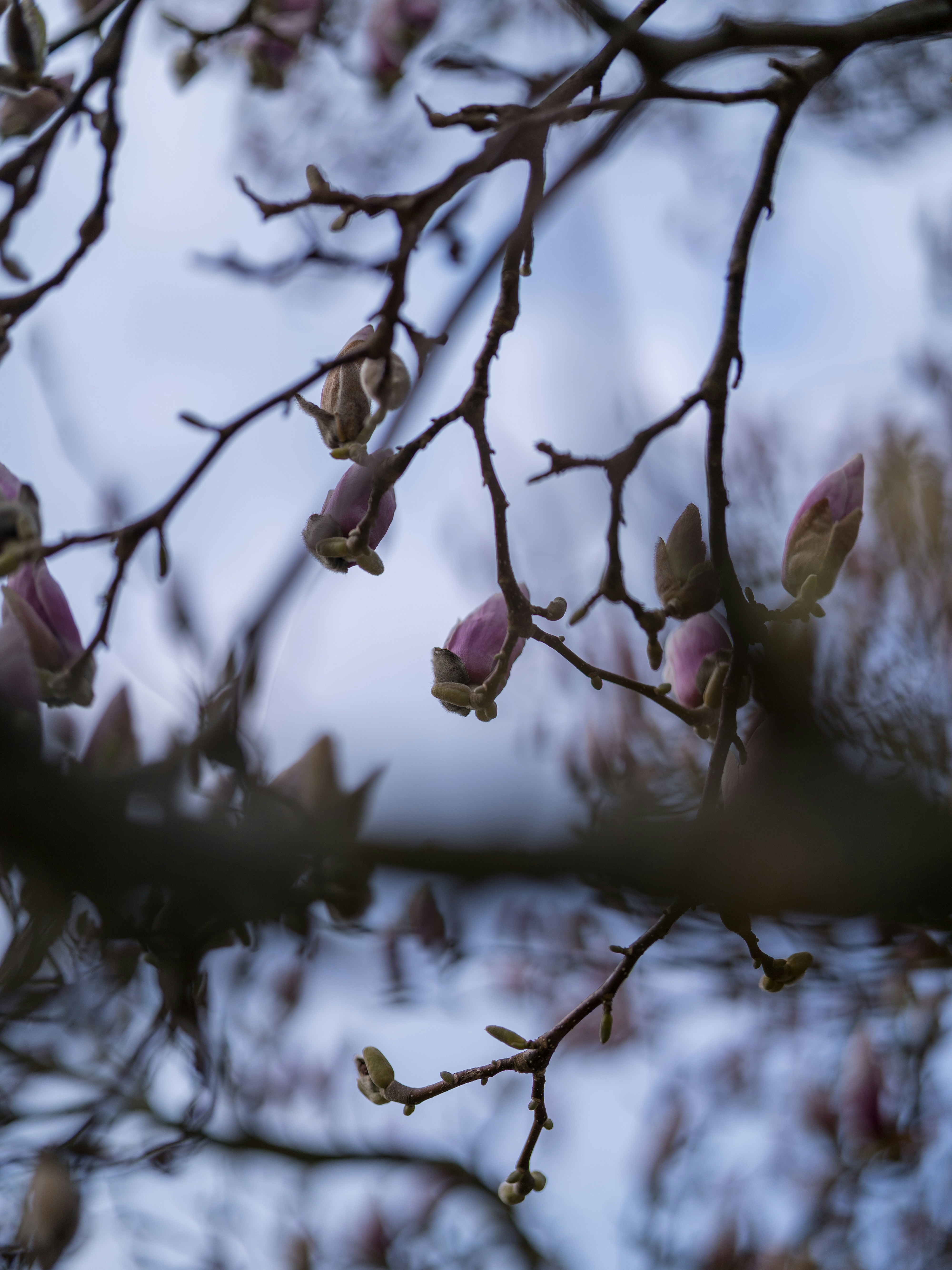 Photo by bangscreative