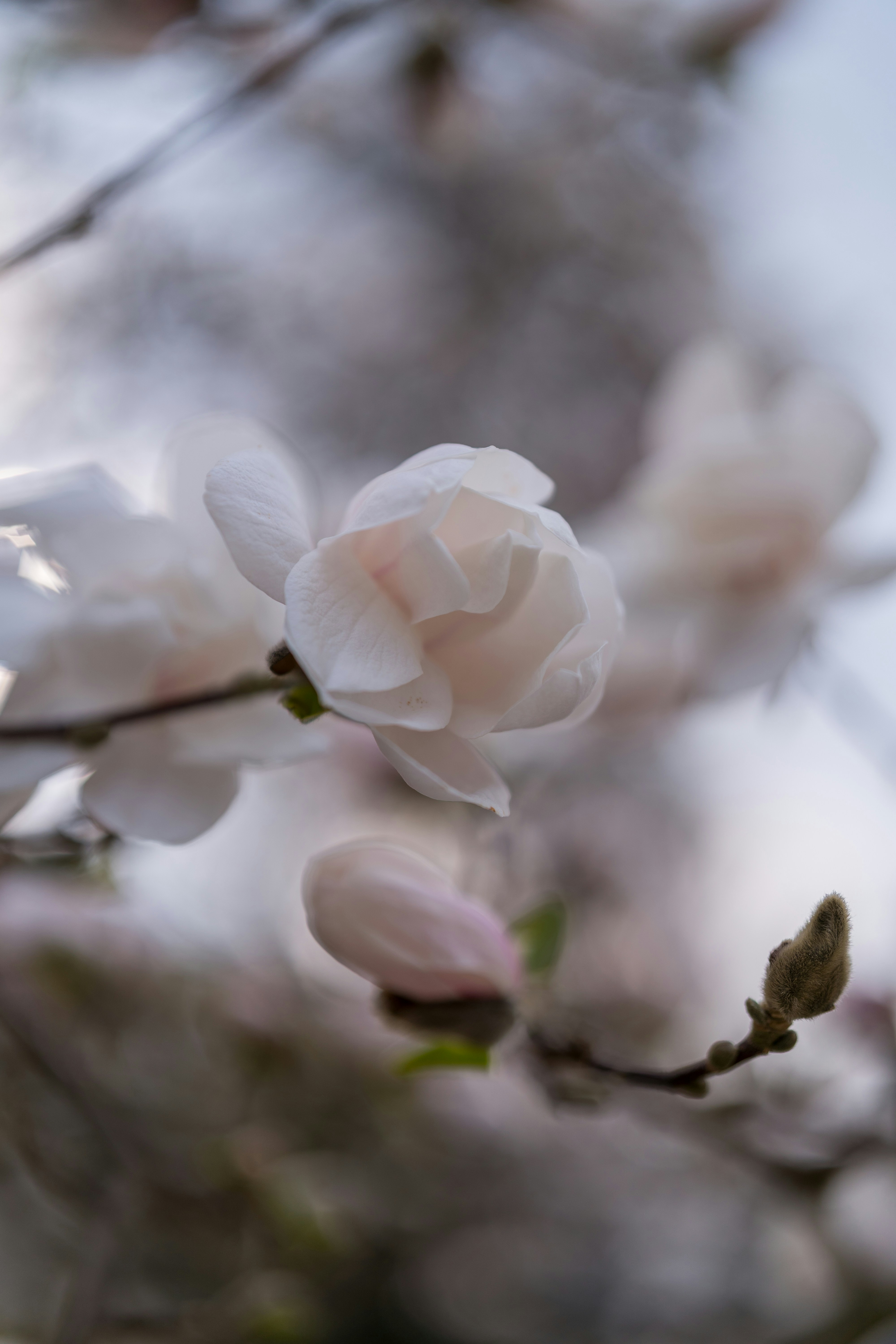 Photo by bangscreative