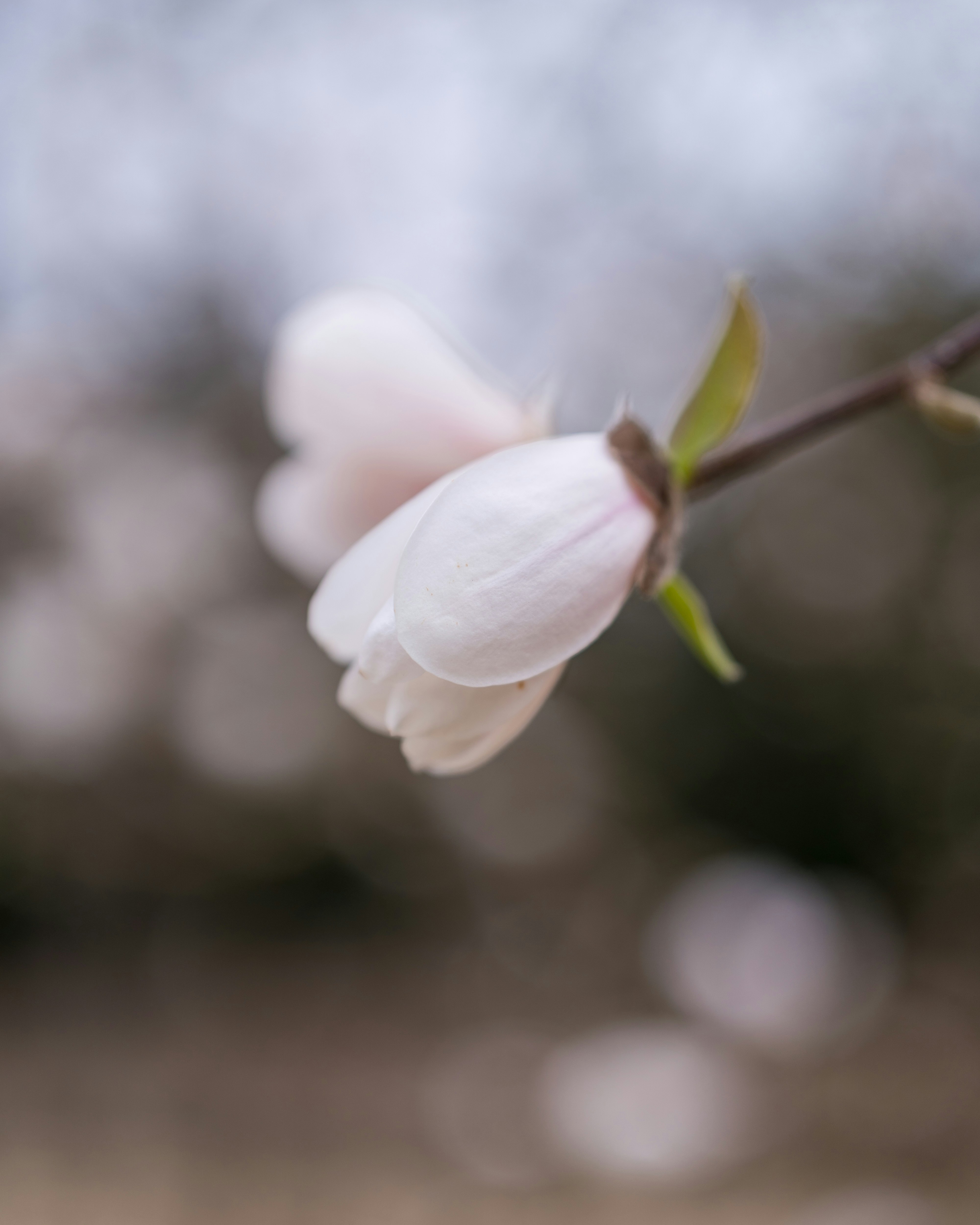 Photo by bangscreative