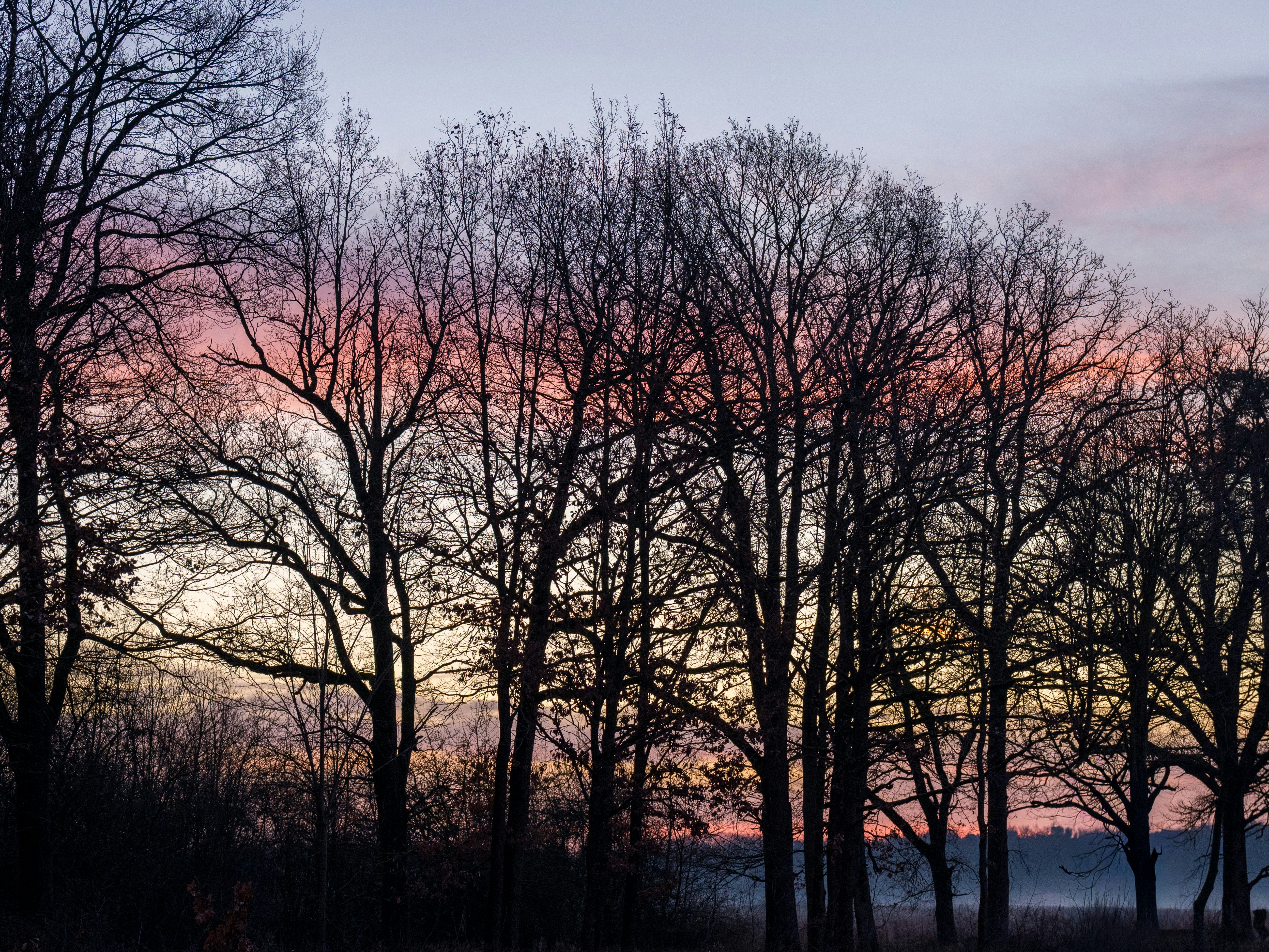Photo by bangscreative