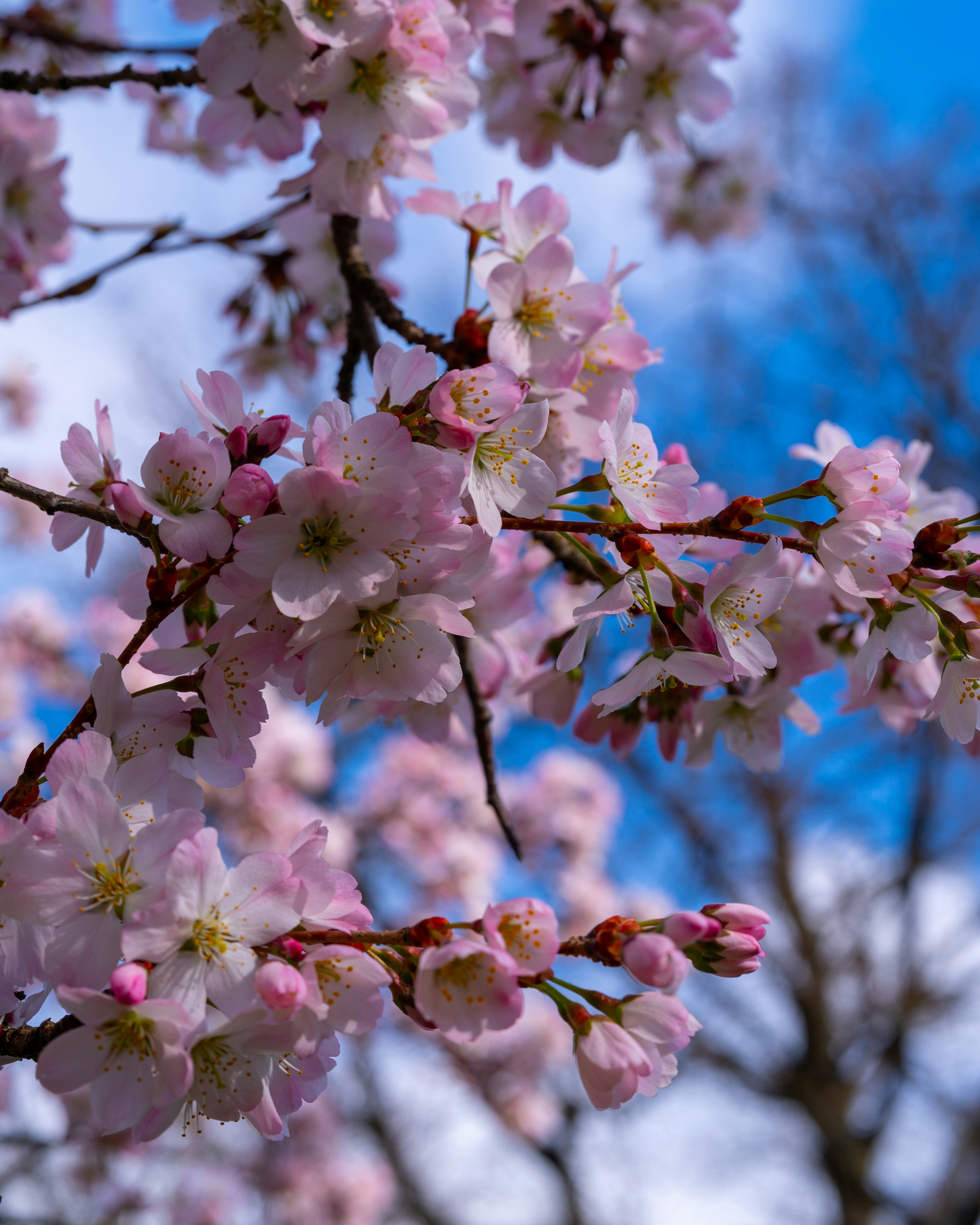 Photo by bangscreative