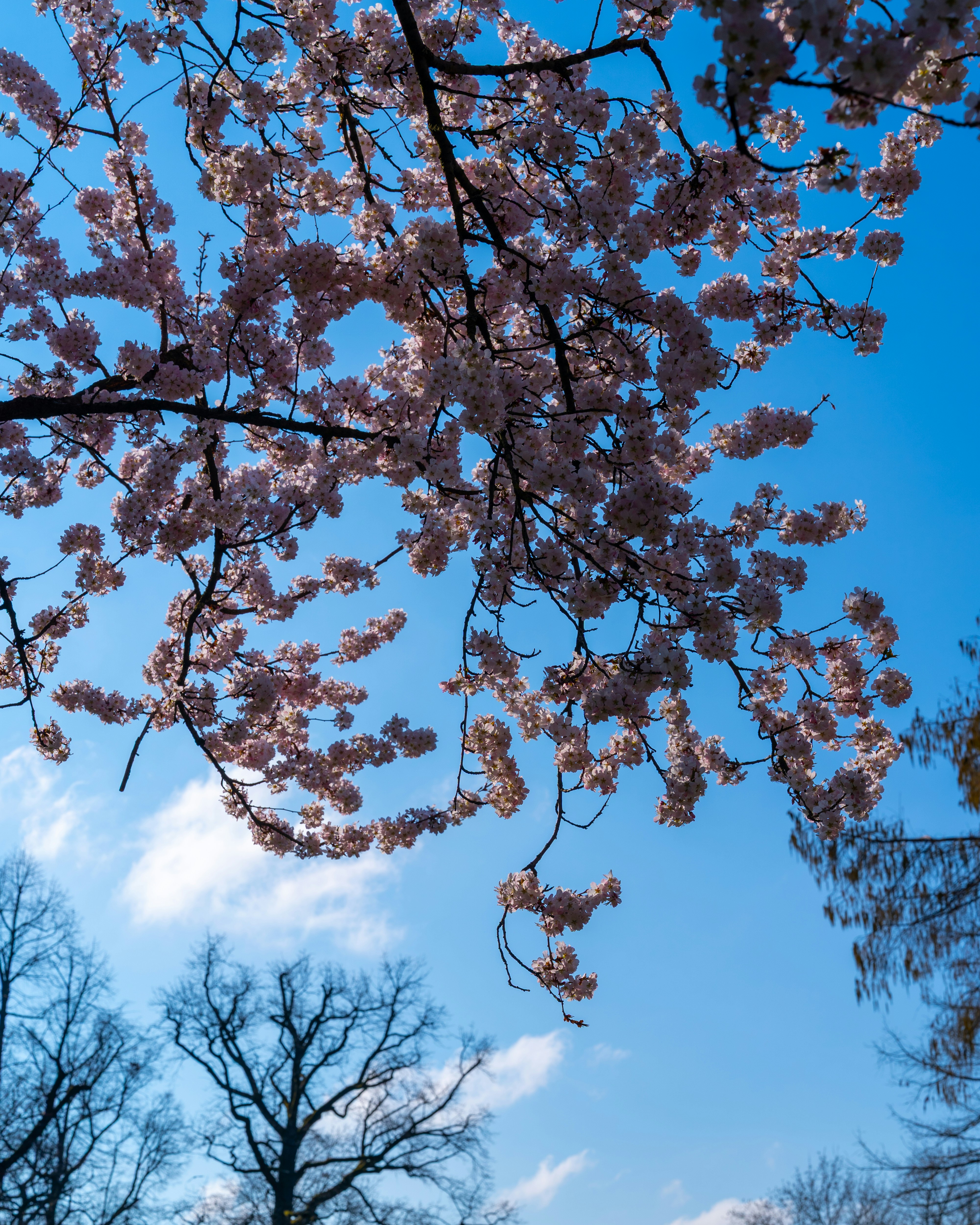 Photo by bangscreative