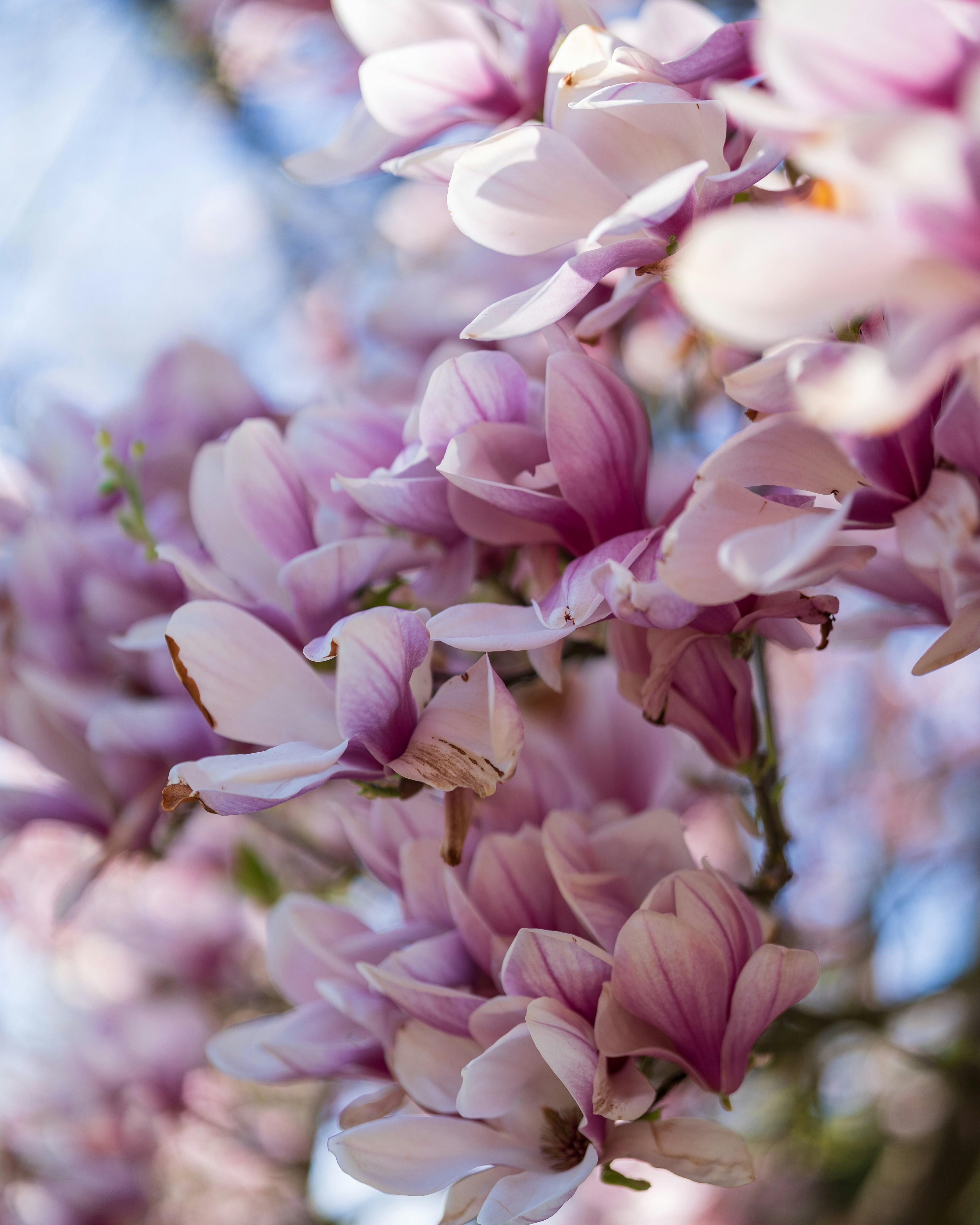 Photo by bangscreative