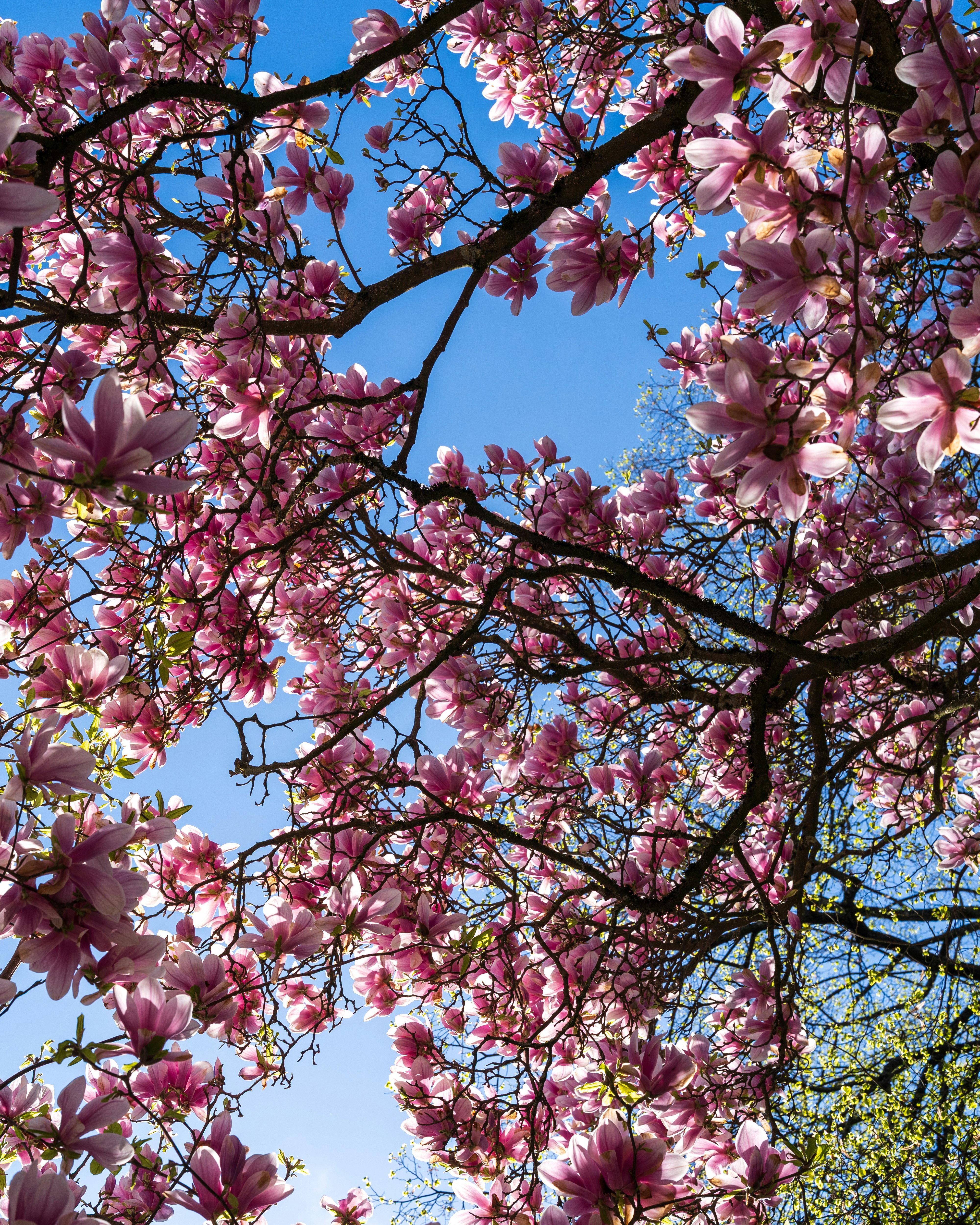 Photo by bangscreative