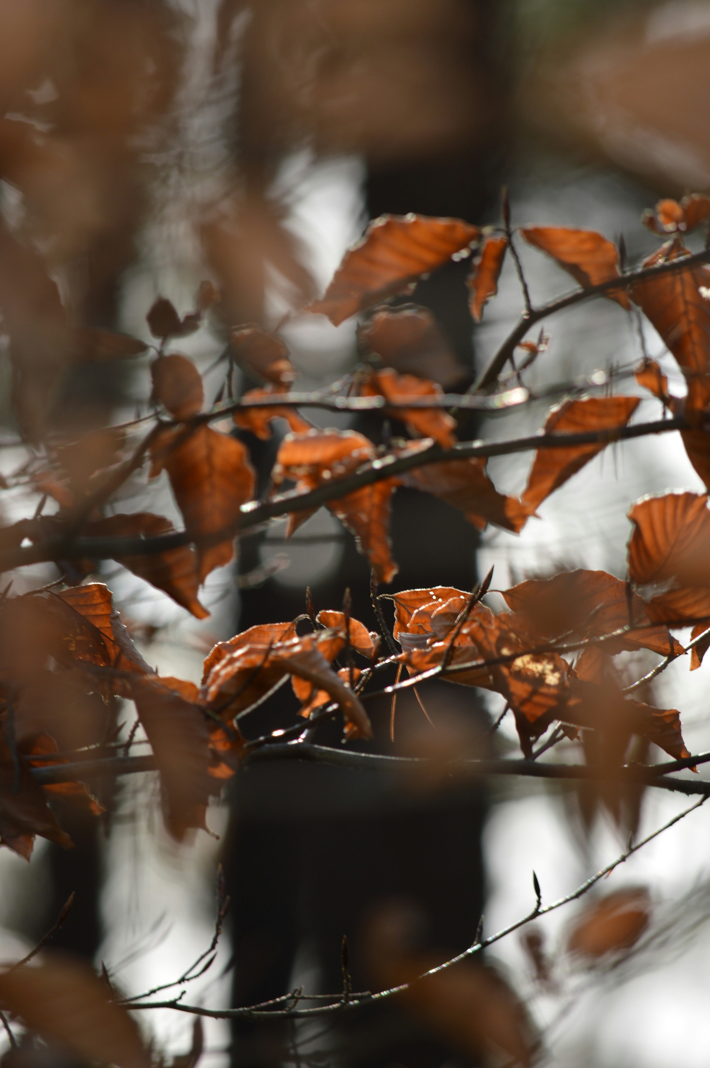 Photo by lineativ_studio