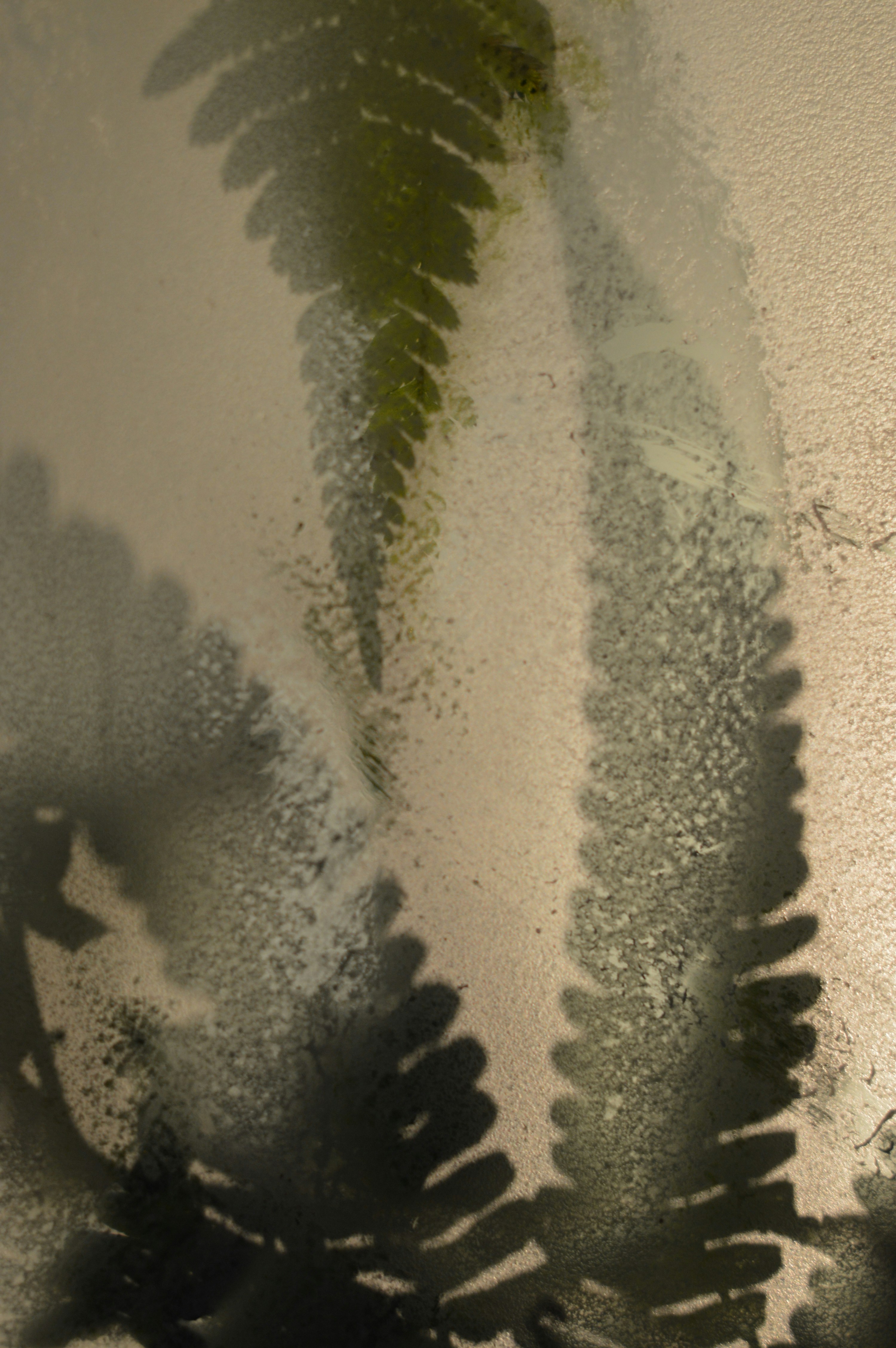 Photo by lineativ_studio