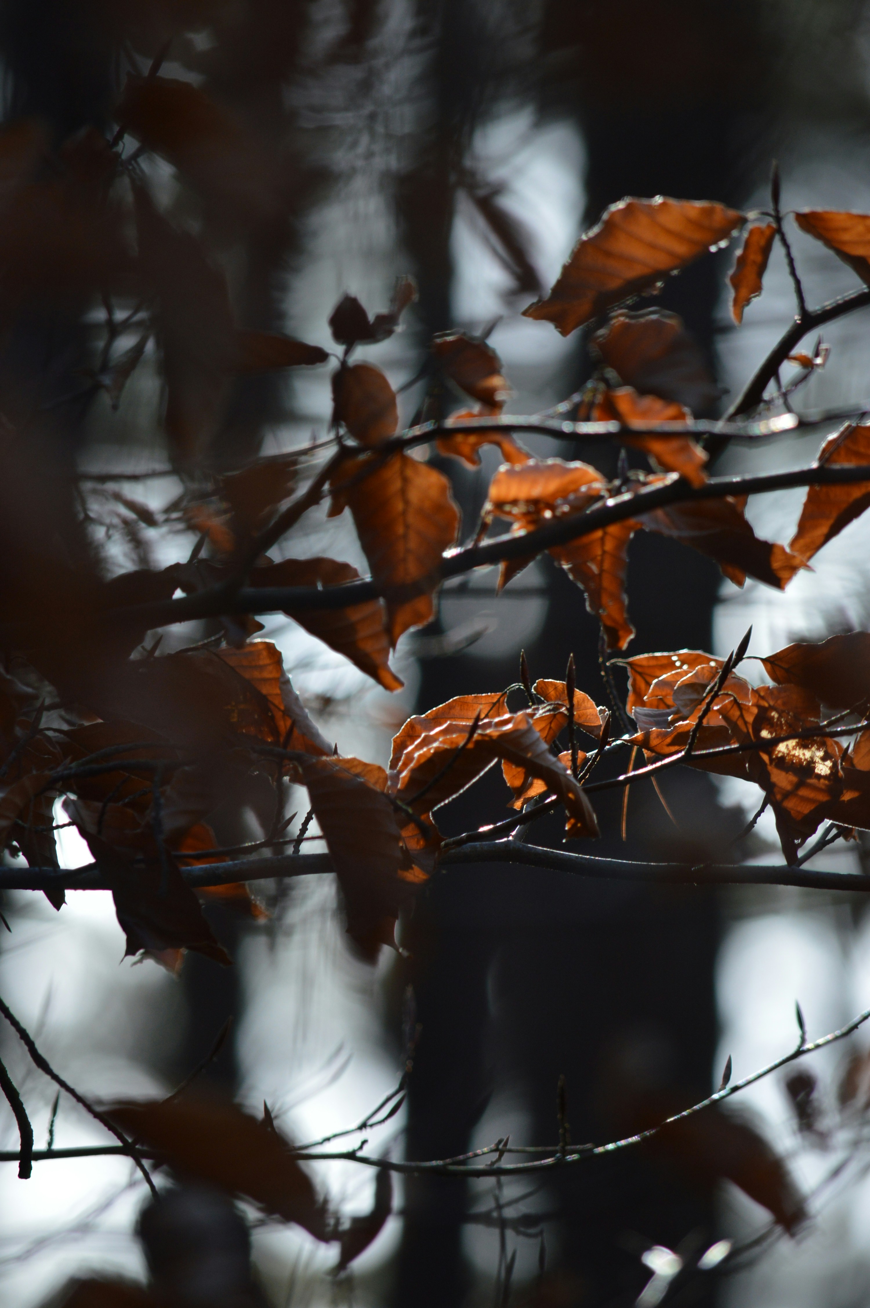 Photo by lineativ_studio