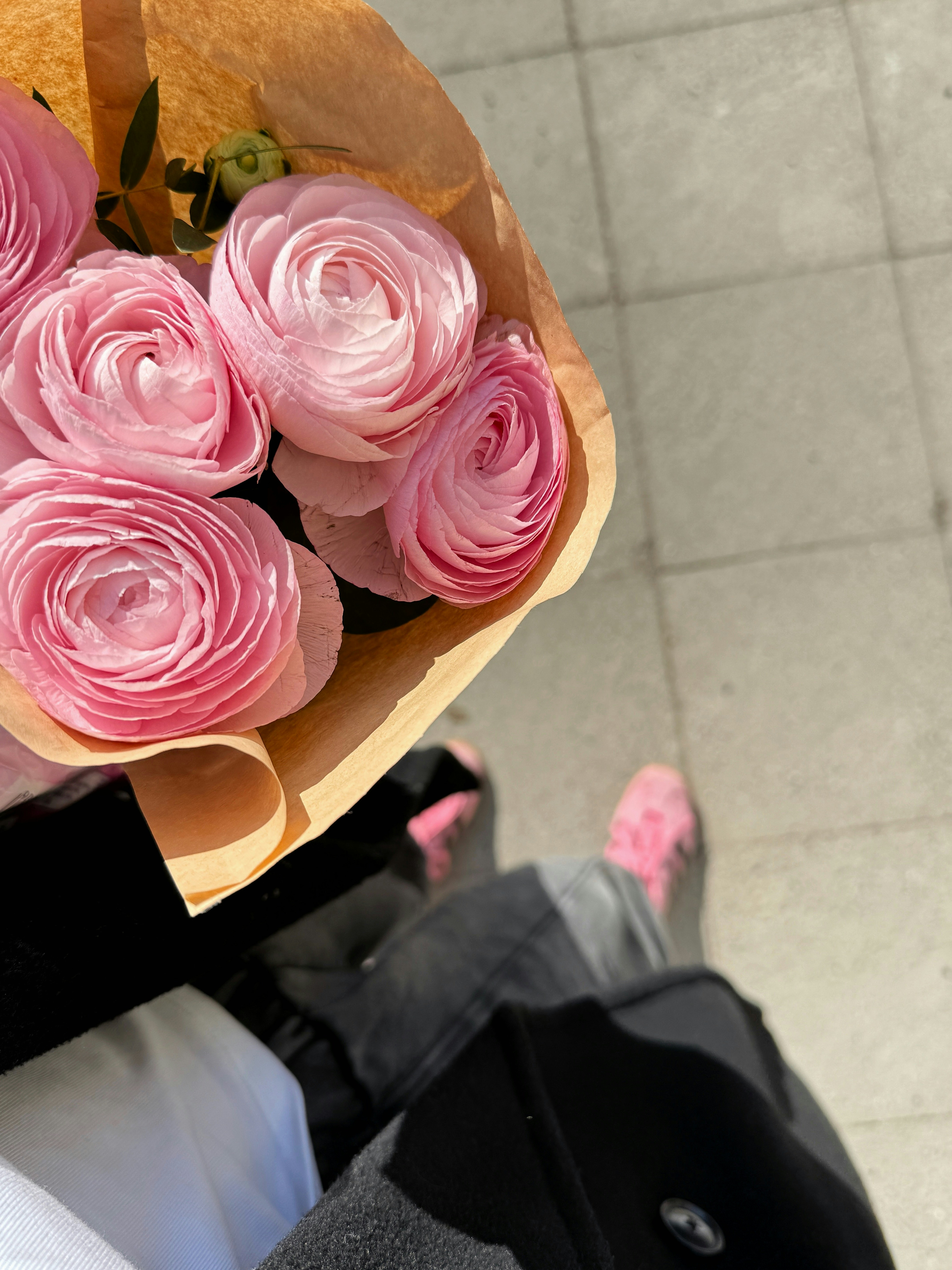 Um buquê de flores de ranúnculo rosa enroladas em papel pardo.