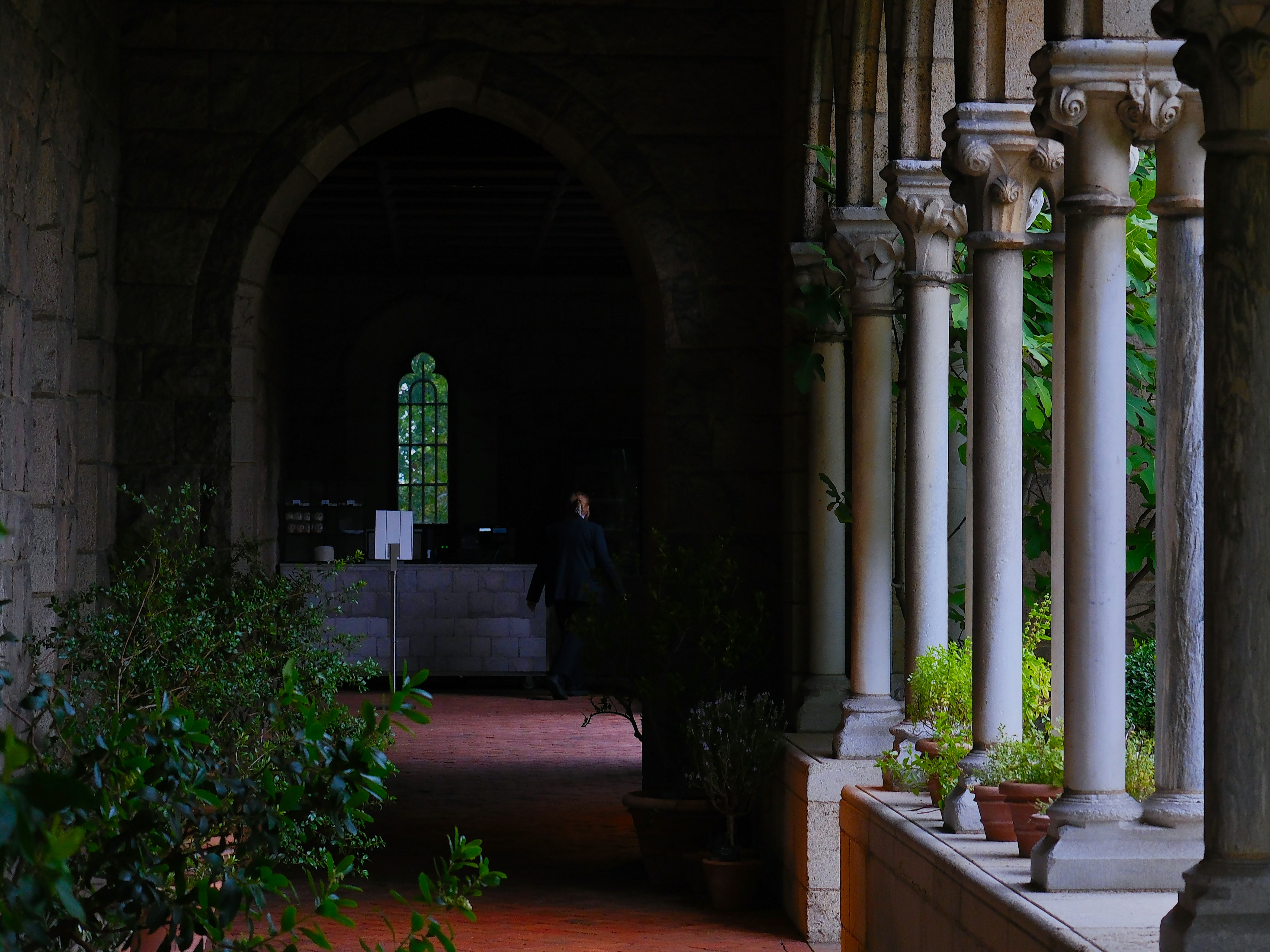 Photo by niharbhagat