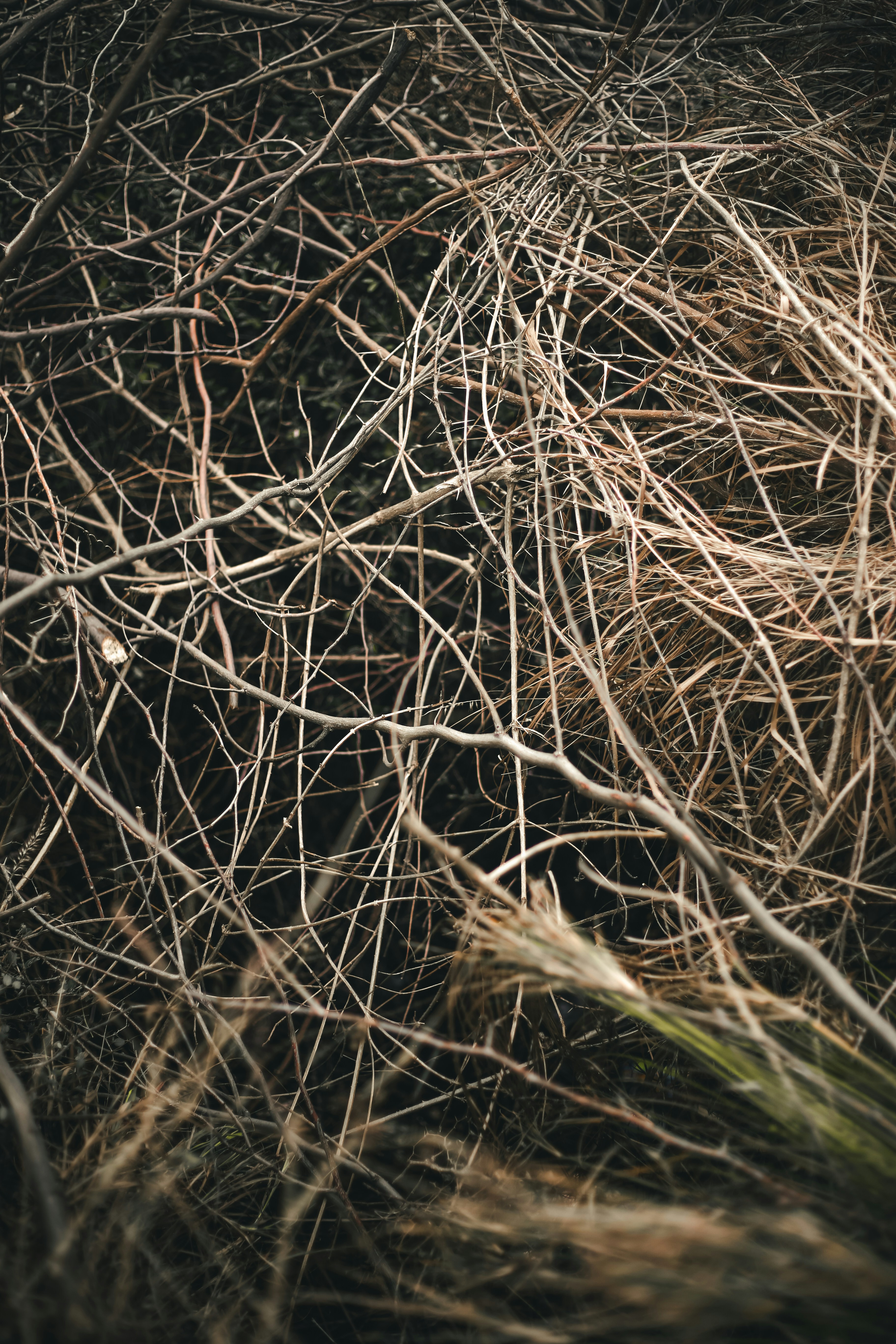 Photo by hassanjavedd