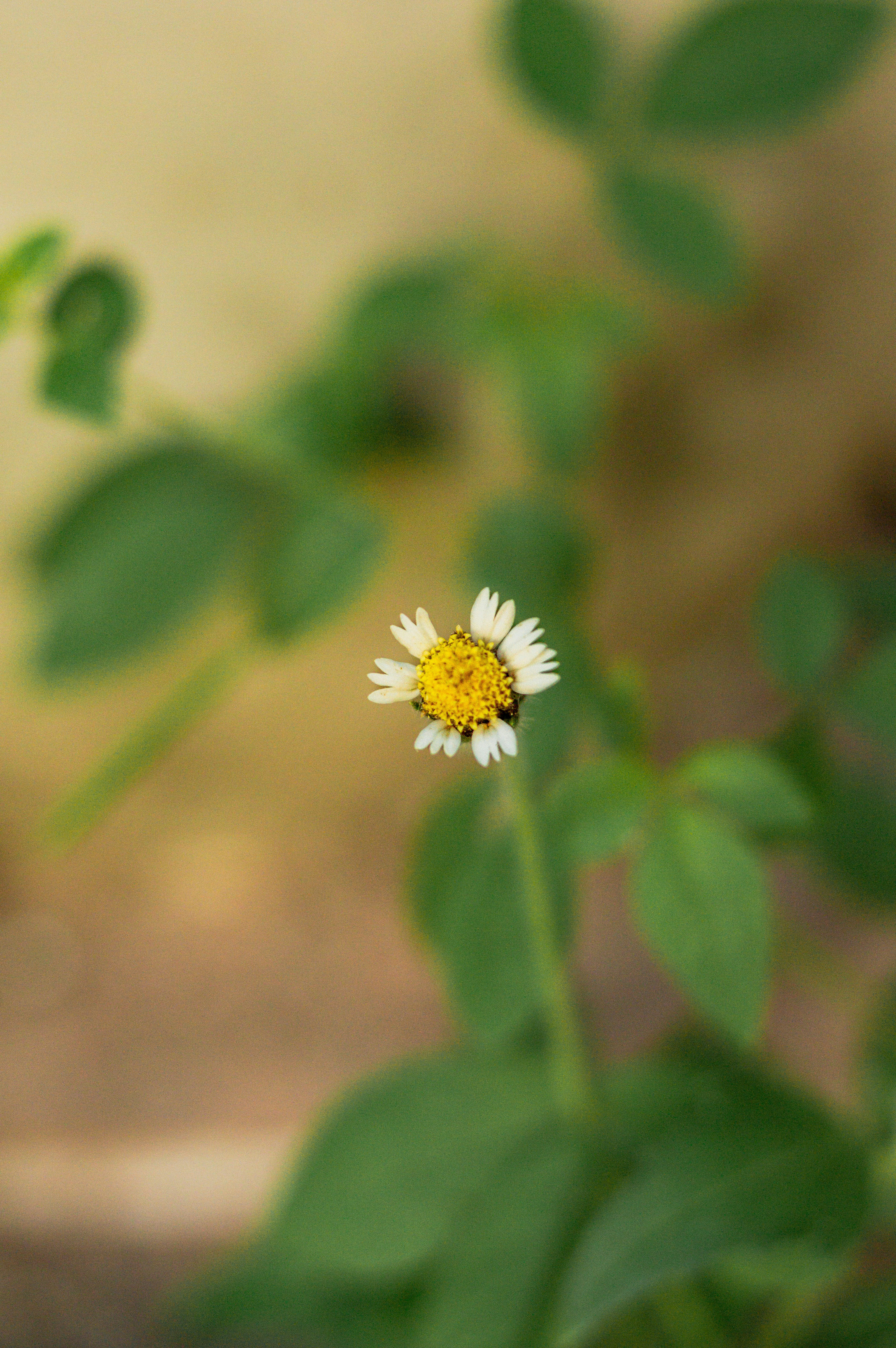 Photo by ivett_m