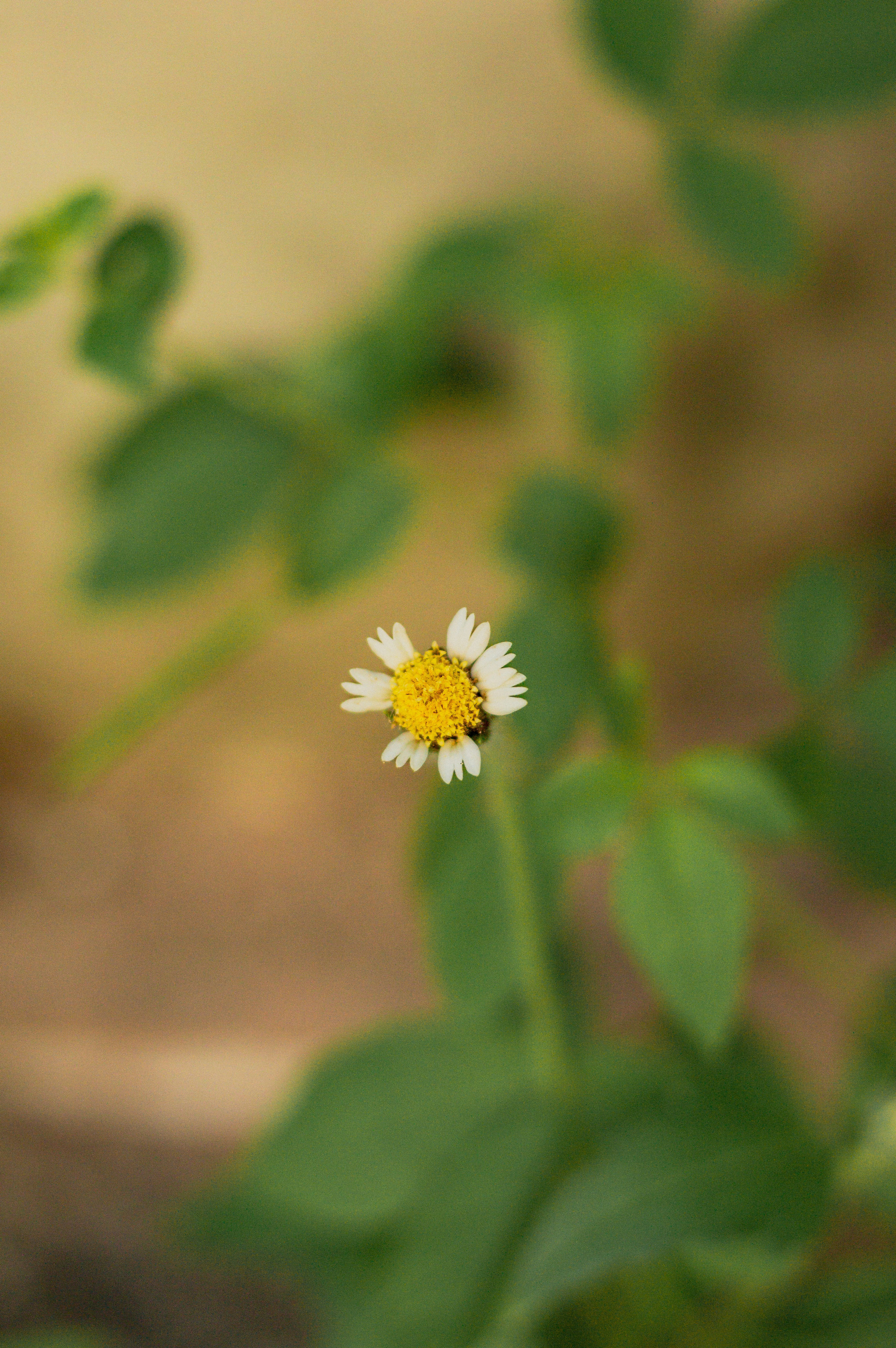 Photo by ivett_m