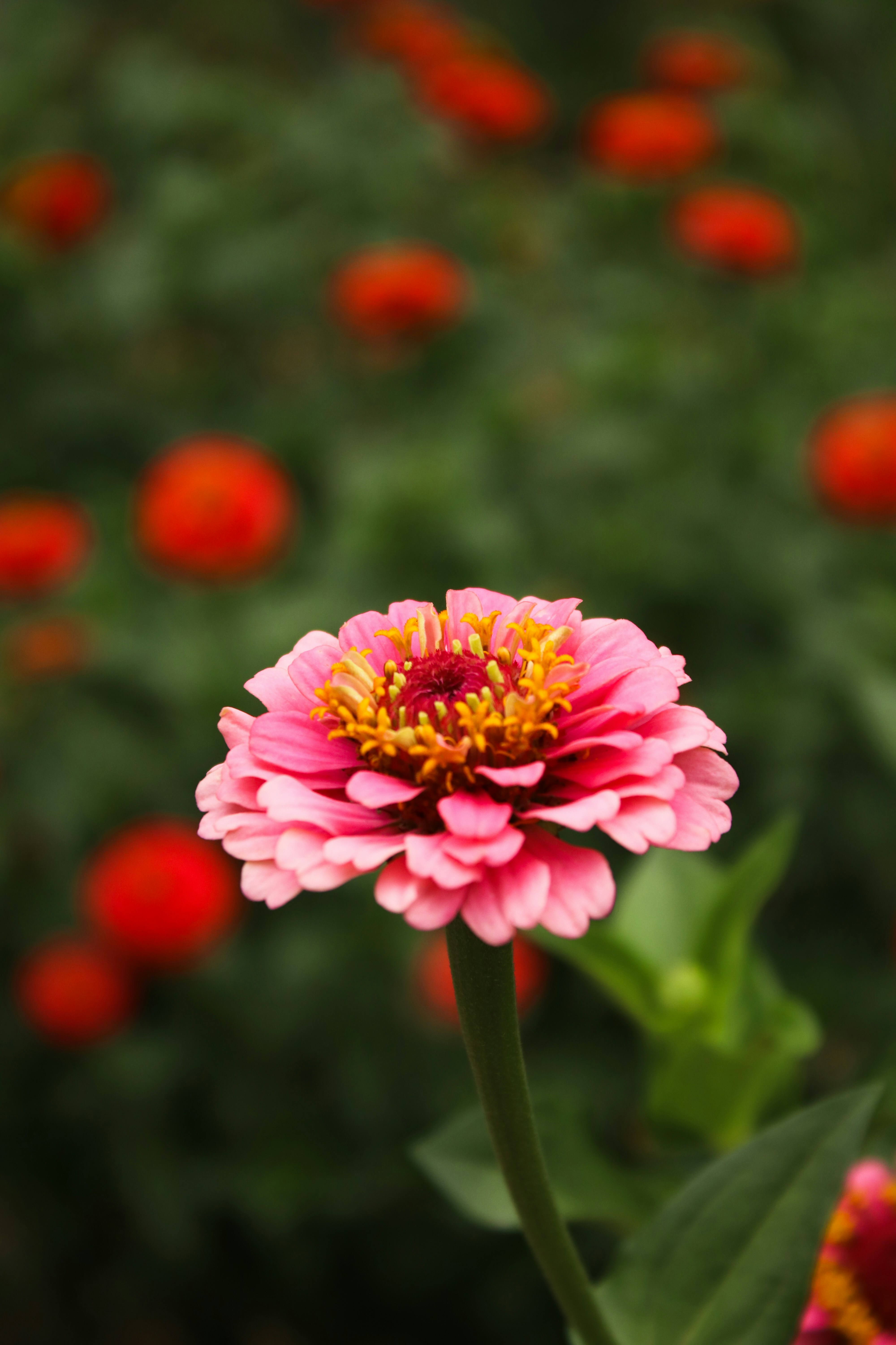 Photo by touroflexivo