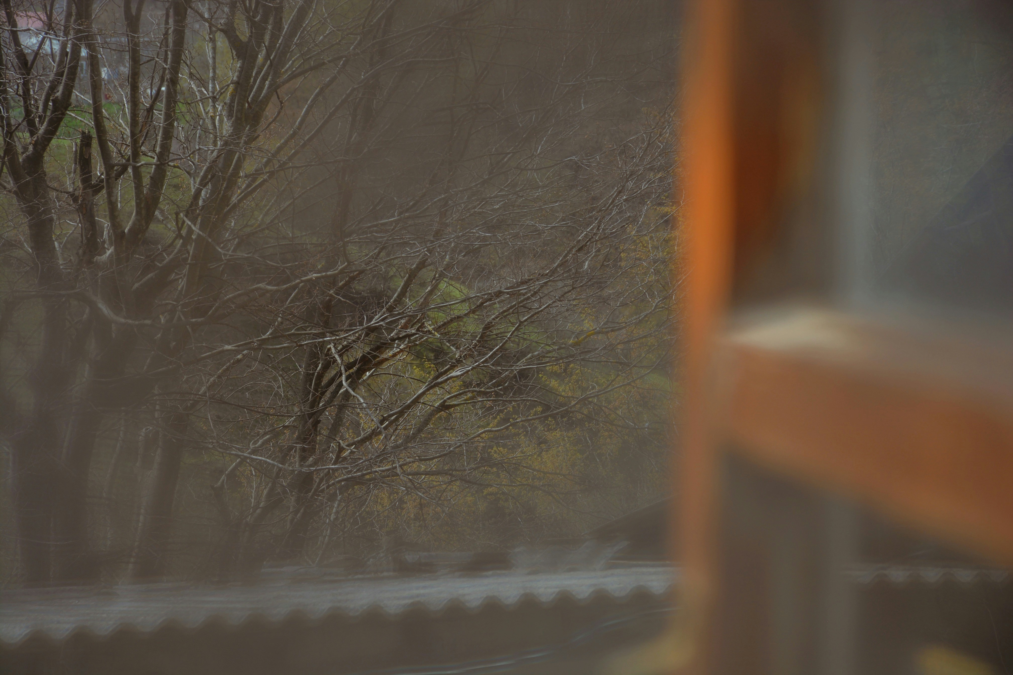 Photo by leyla21m