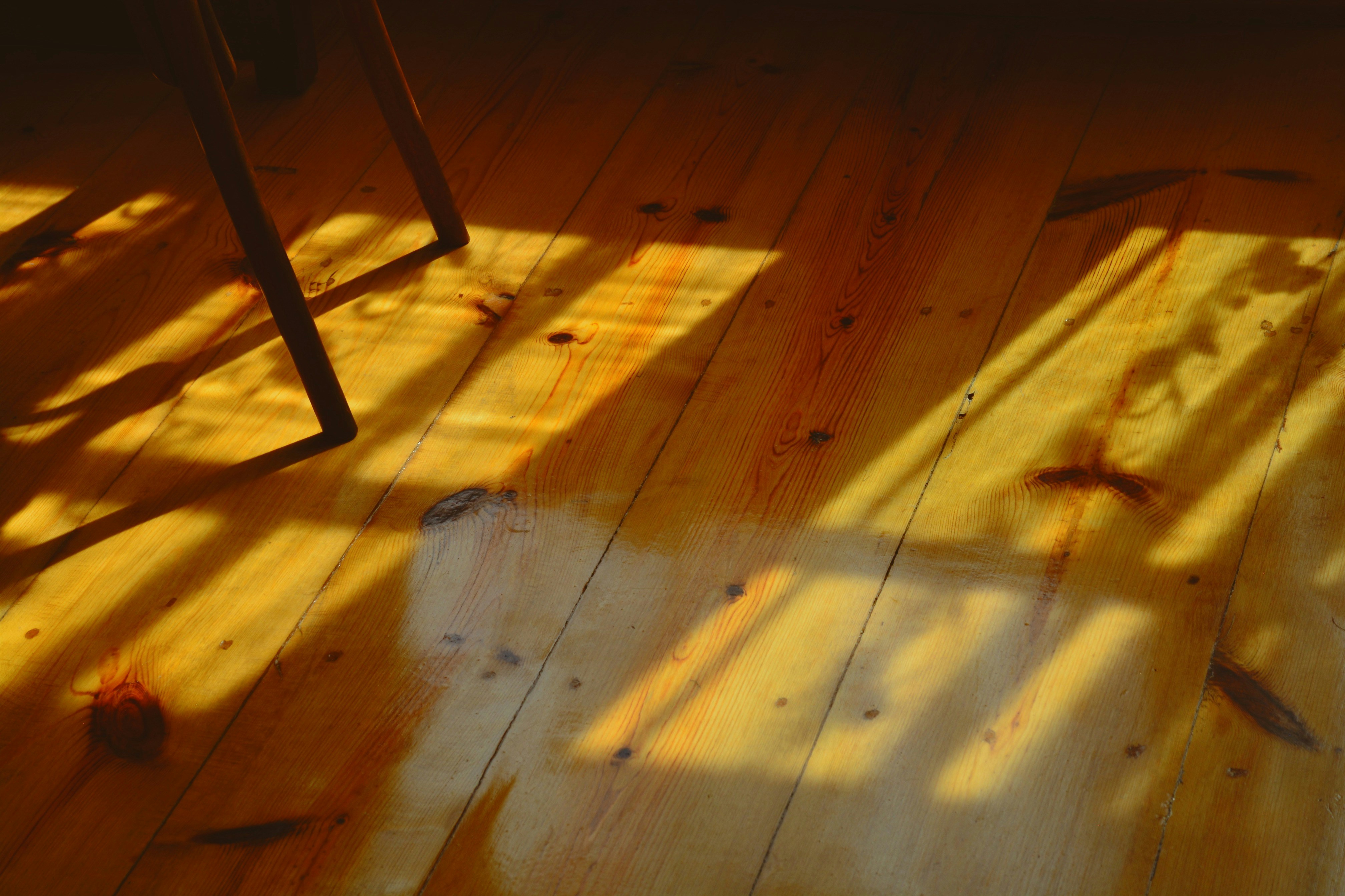 Why Your New Floors Are Buckling Before the First Winter Is Even Over
