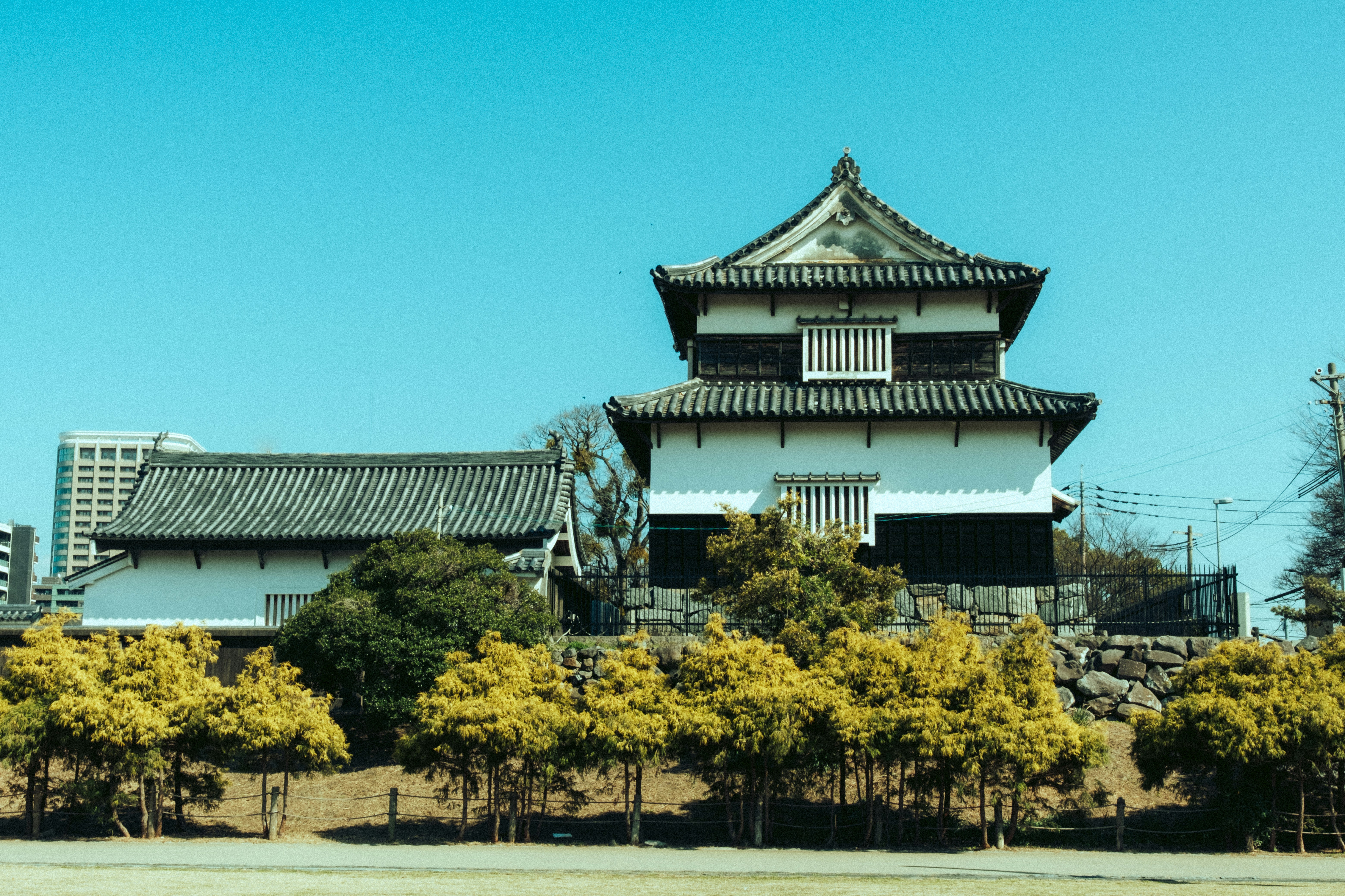 Photo by vivitergovivo