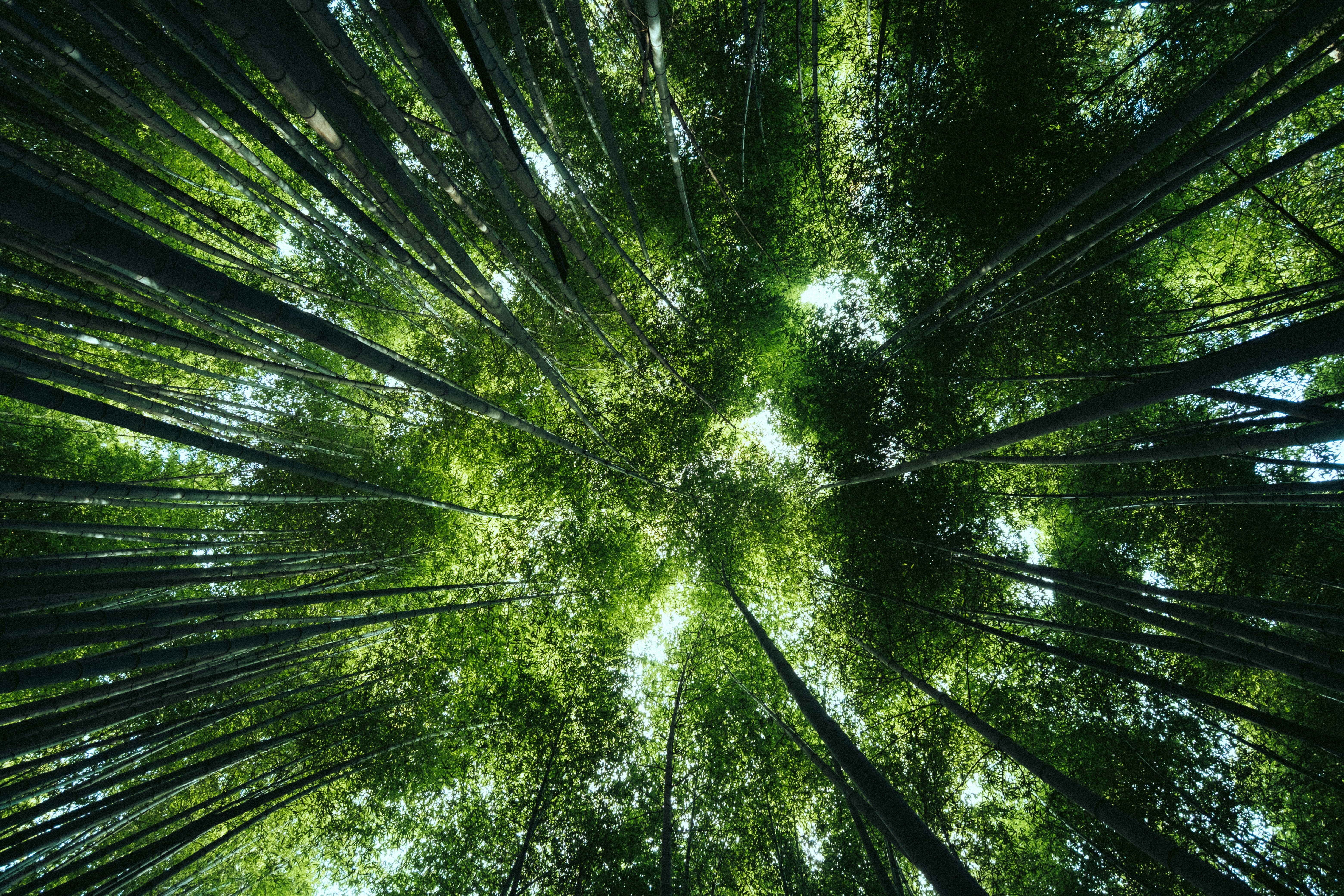 Photo by vivitergovivo