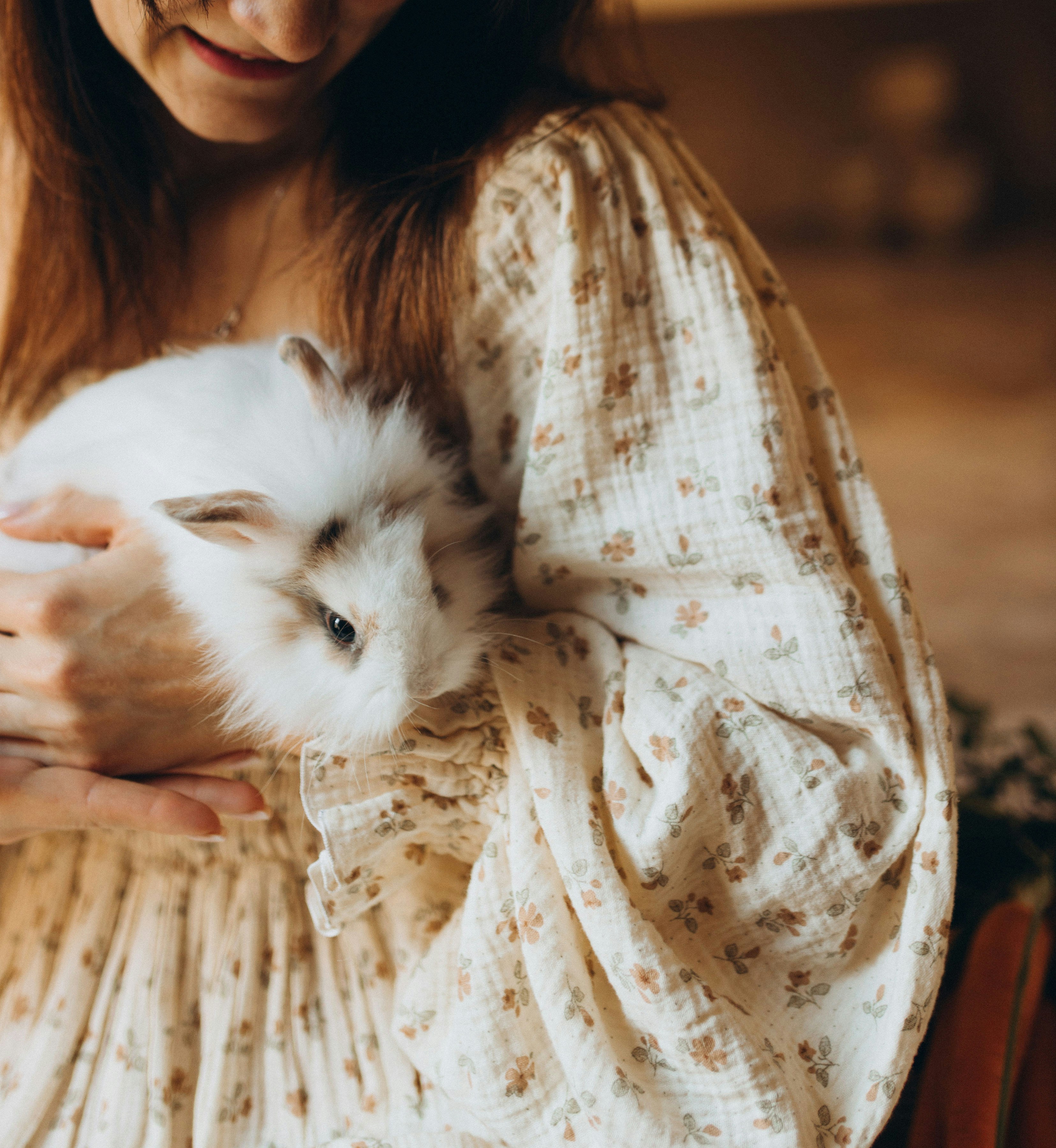 Eine Person hält ein flauschiges weißes Kaninchen in der Hand.
