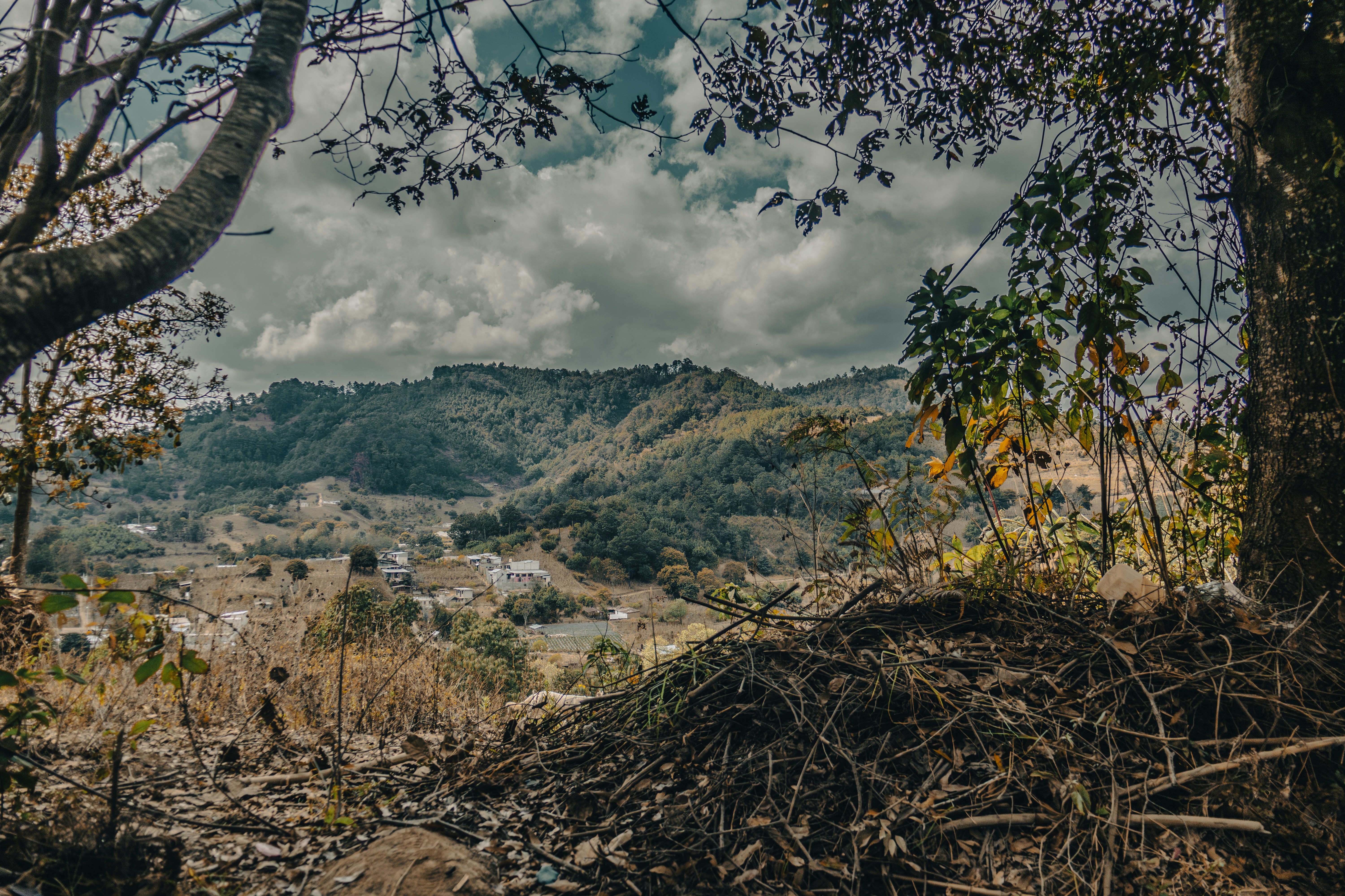 La cuenta pendiente: cómo exigir que el Norte pague por siglos de saqueo ambiental en América Latina