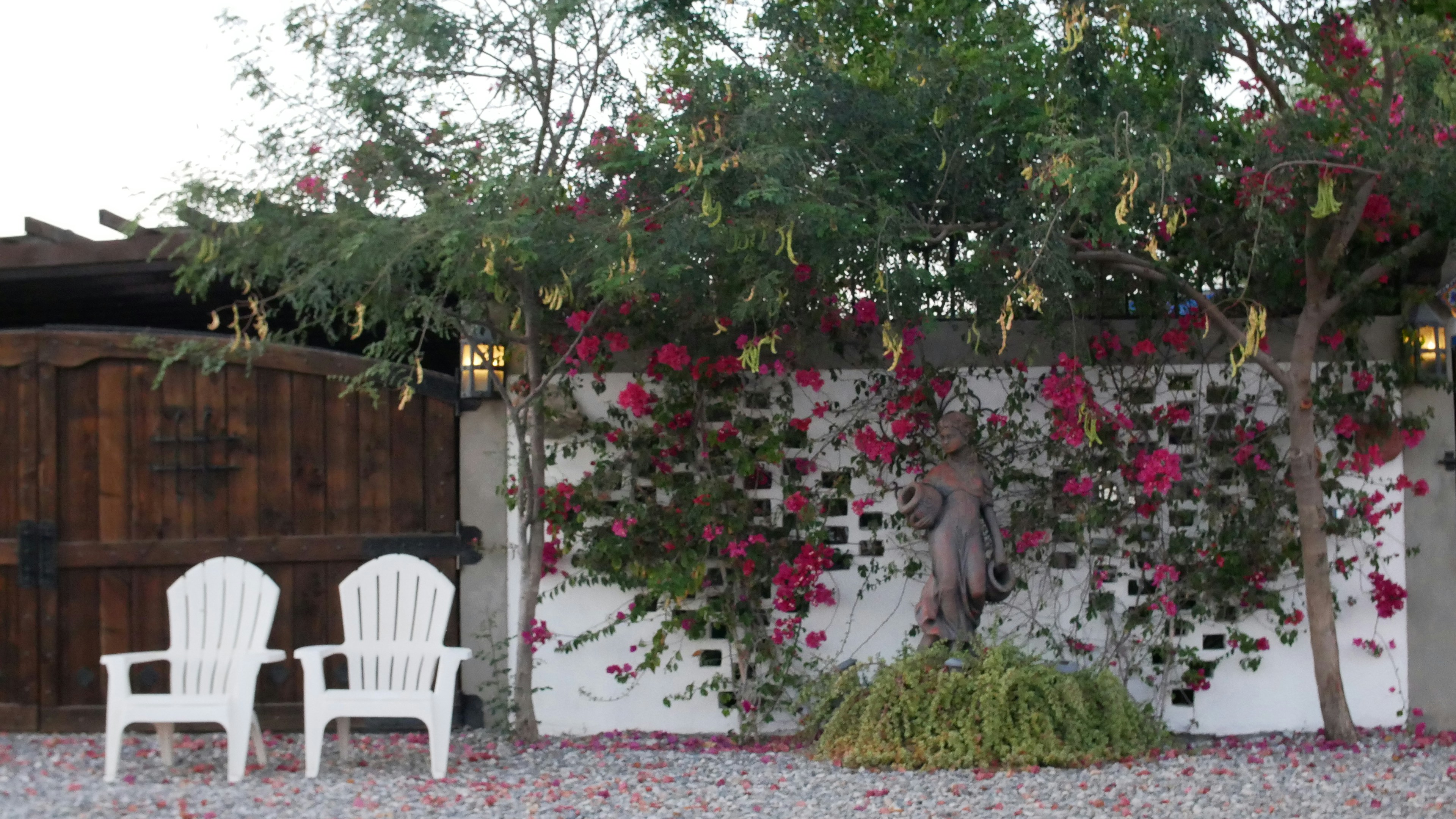 Photo by beautymexicanart