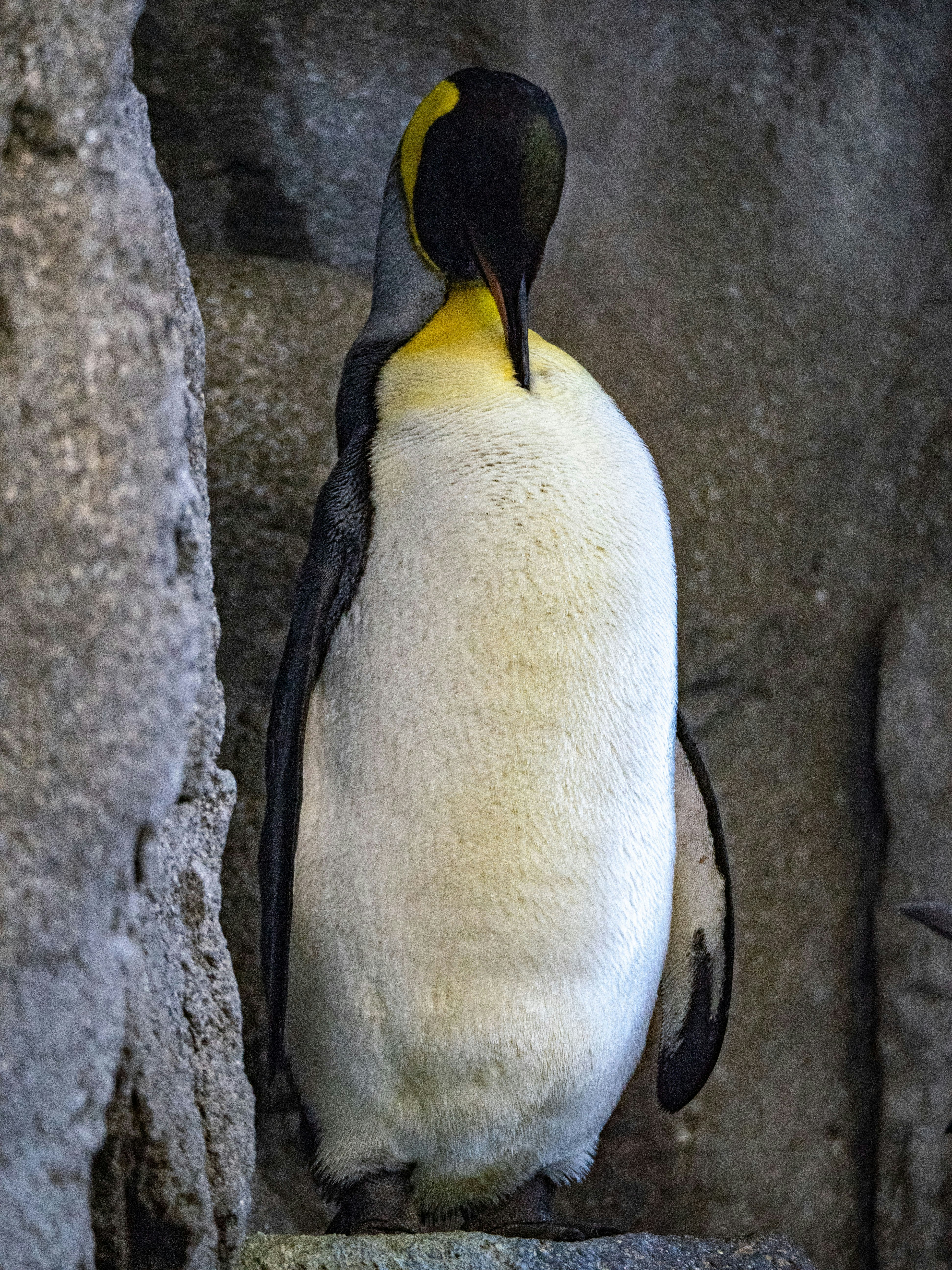 Photo by kieran_wood