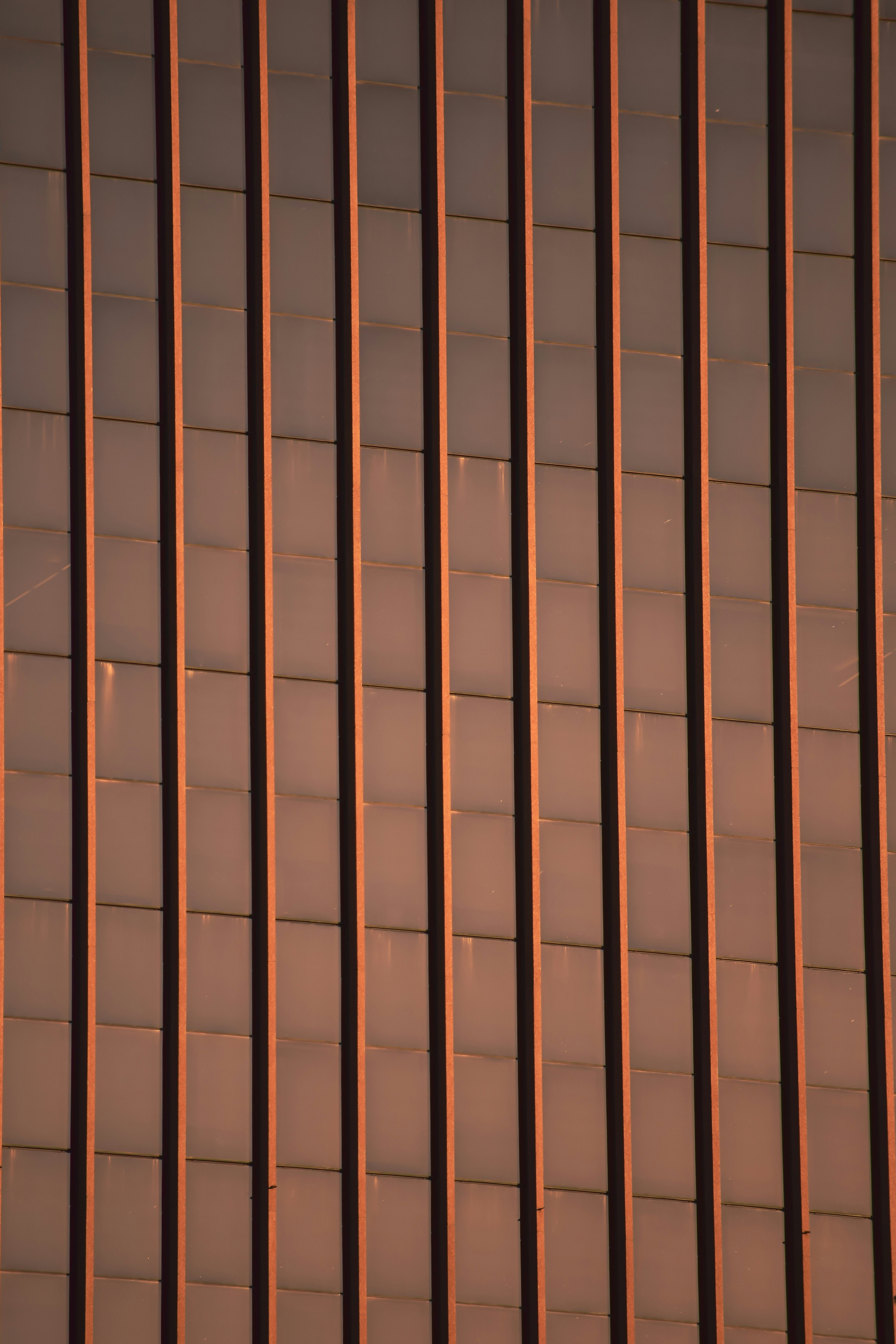 Photo by carolgauthier