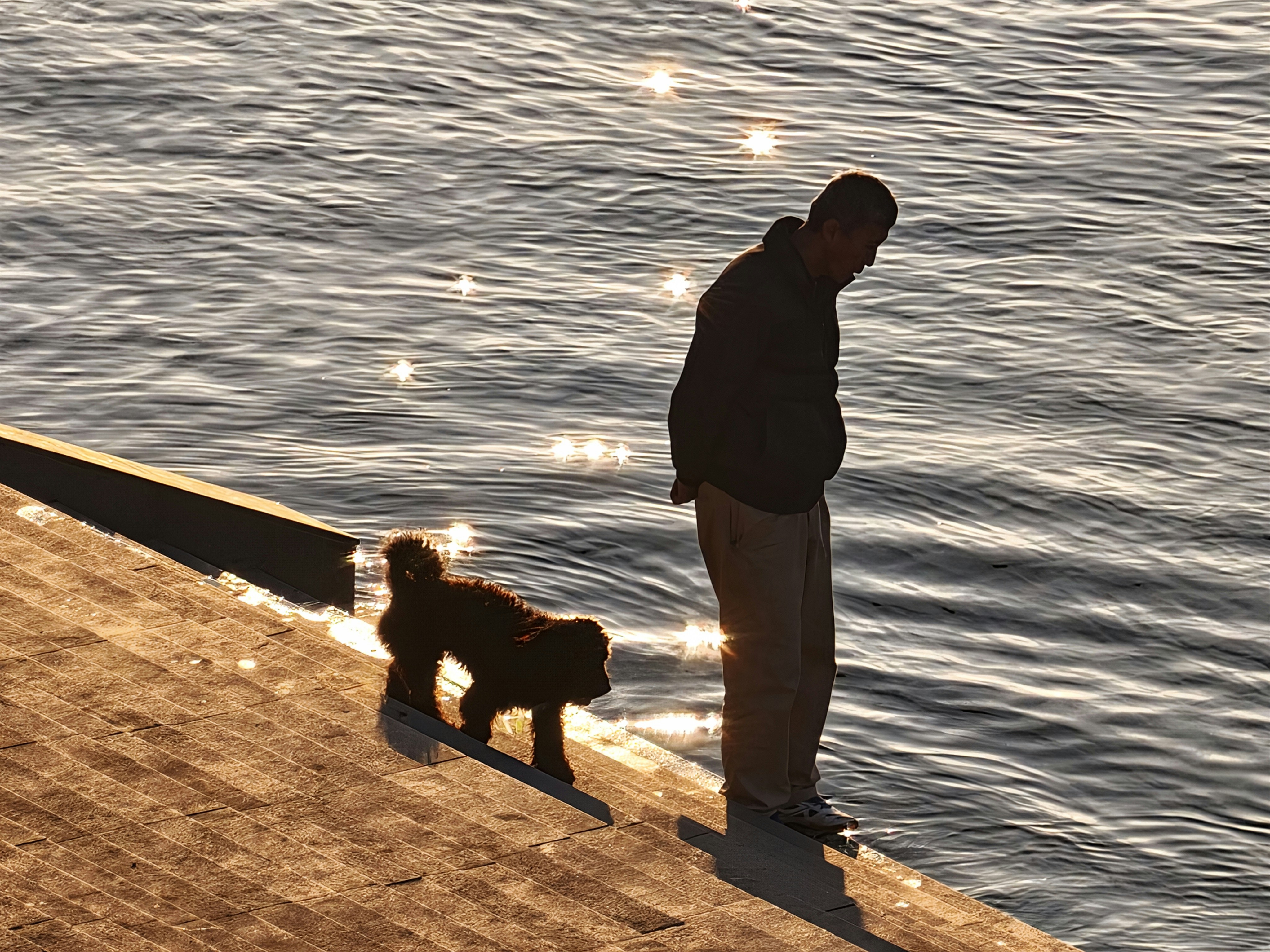 man and dog by the water at sunset