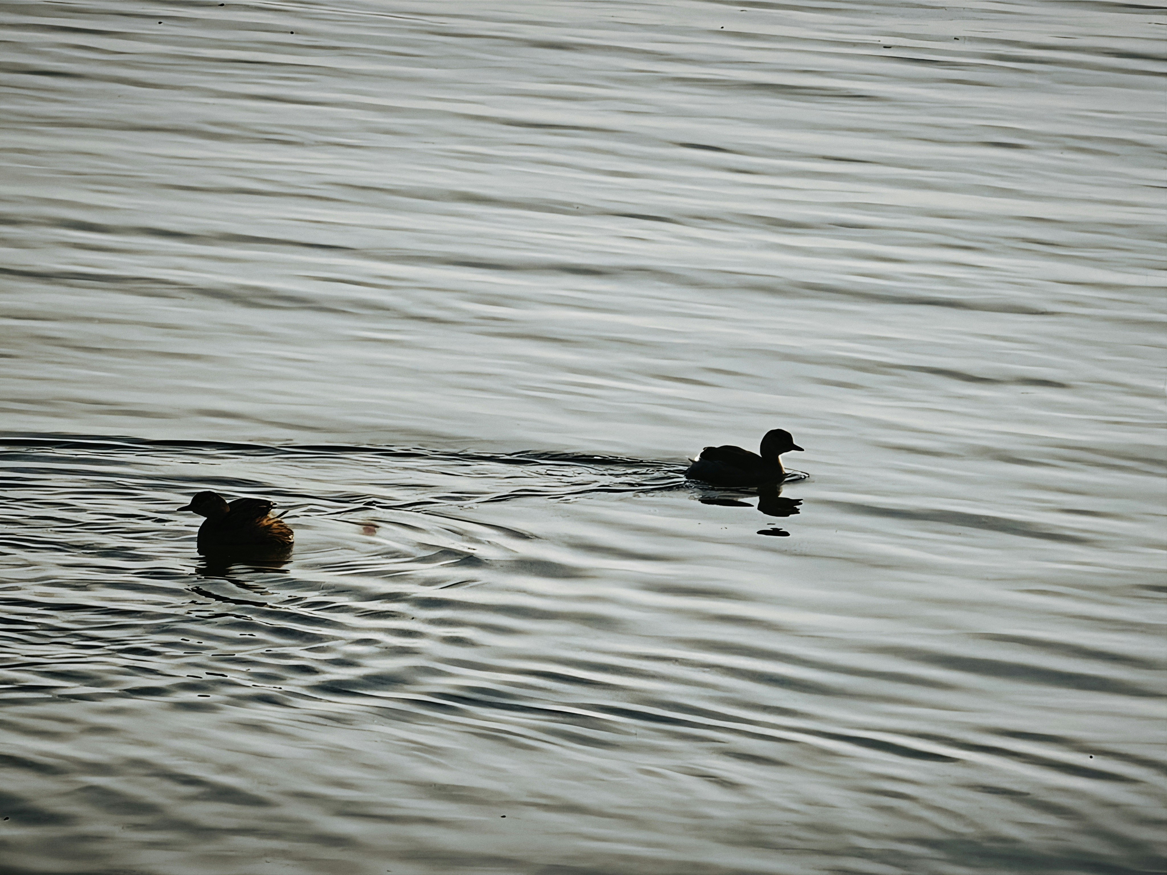 Photo by robertchen13