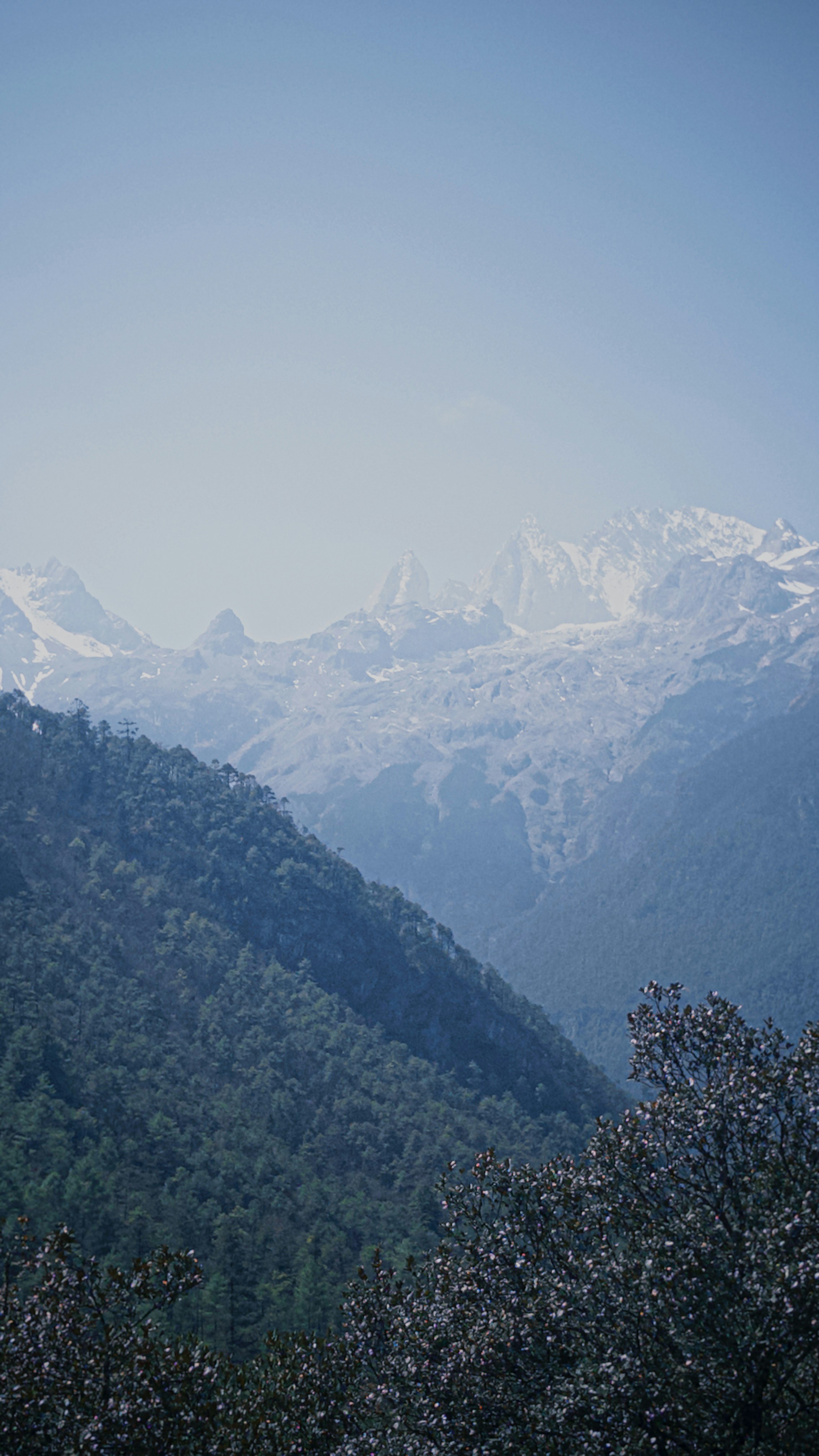 Photo by archternoon