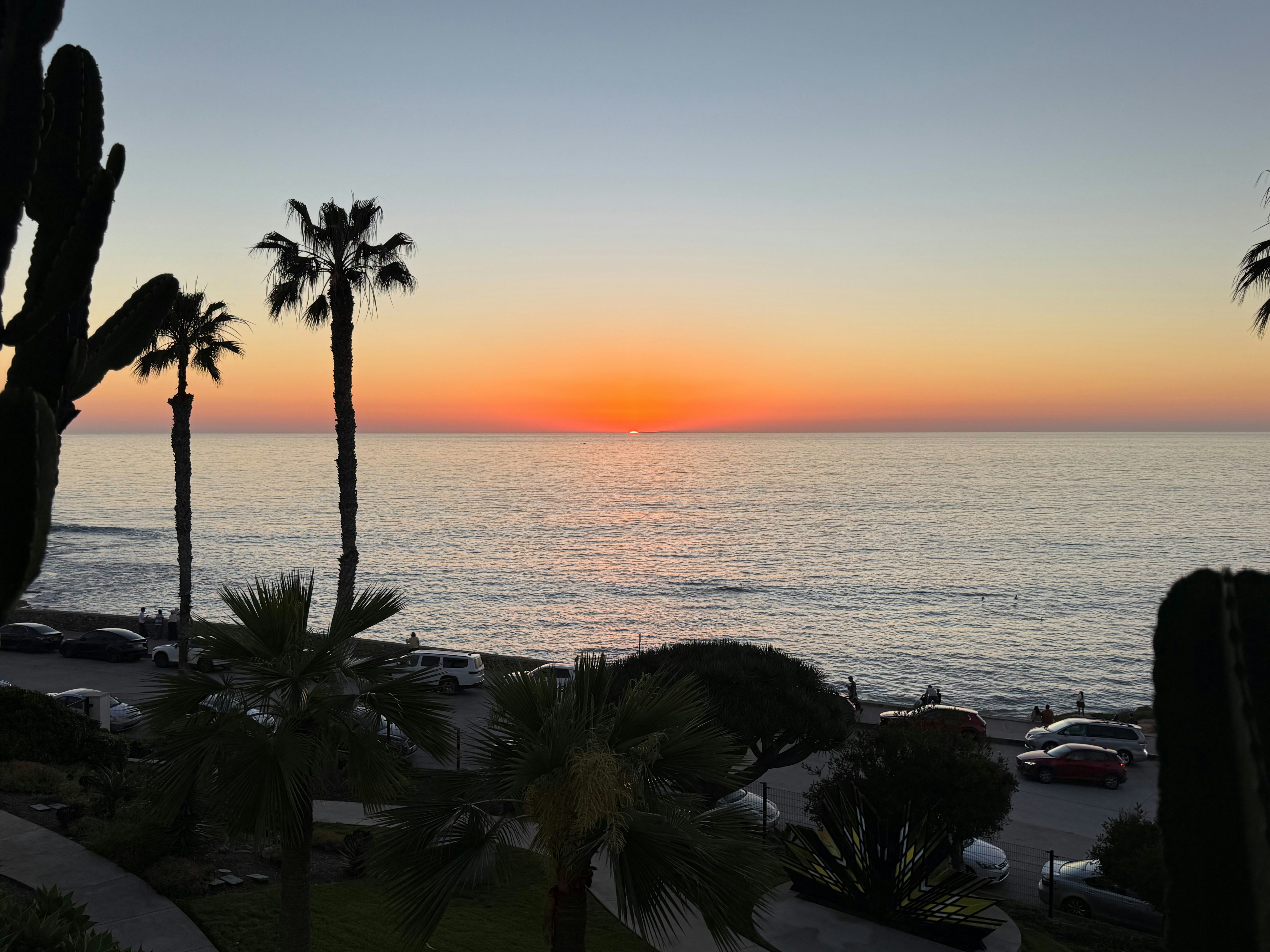 Sunset over the ocean with palm trees