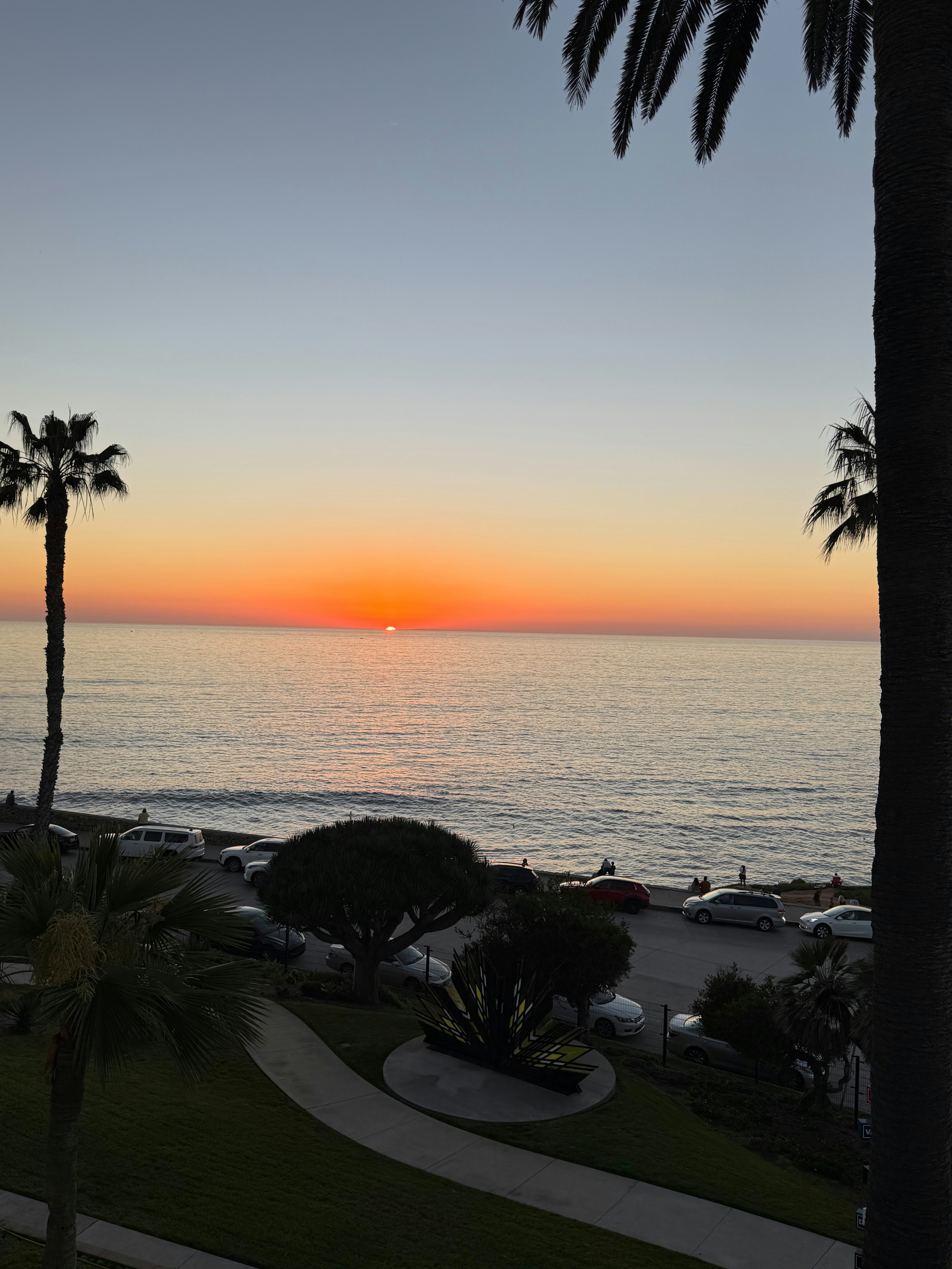 Sunset over the ocean with palm trees.