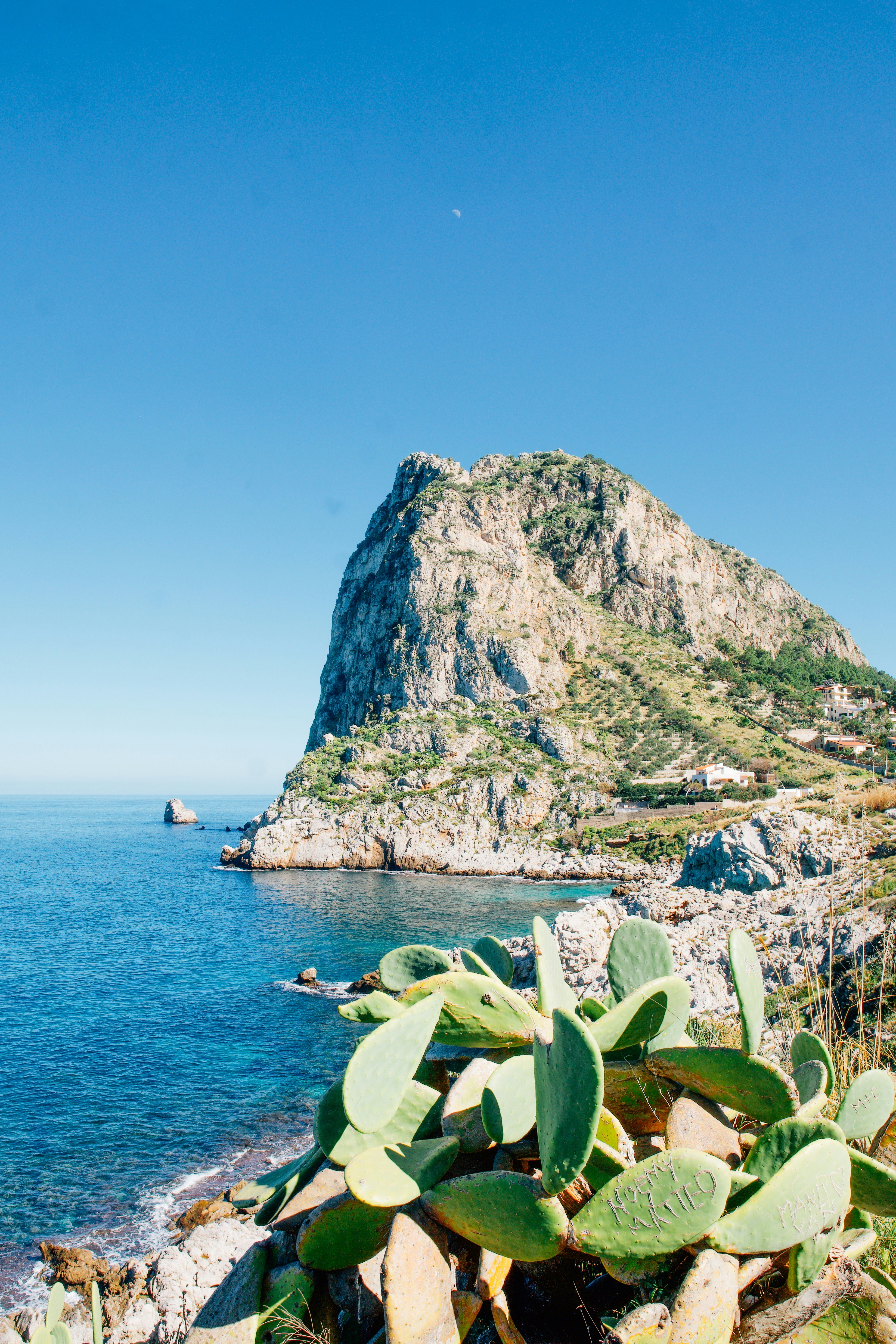 Coastal mountain with prickly pear cactus and blue sea