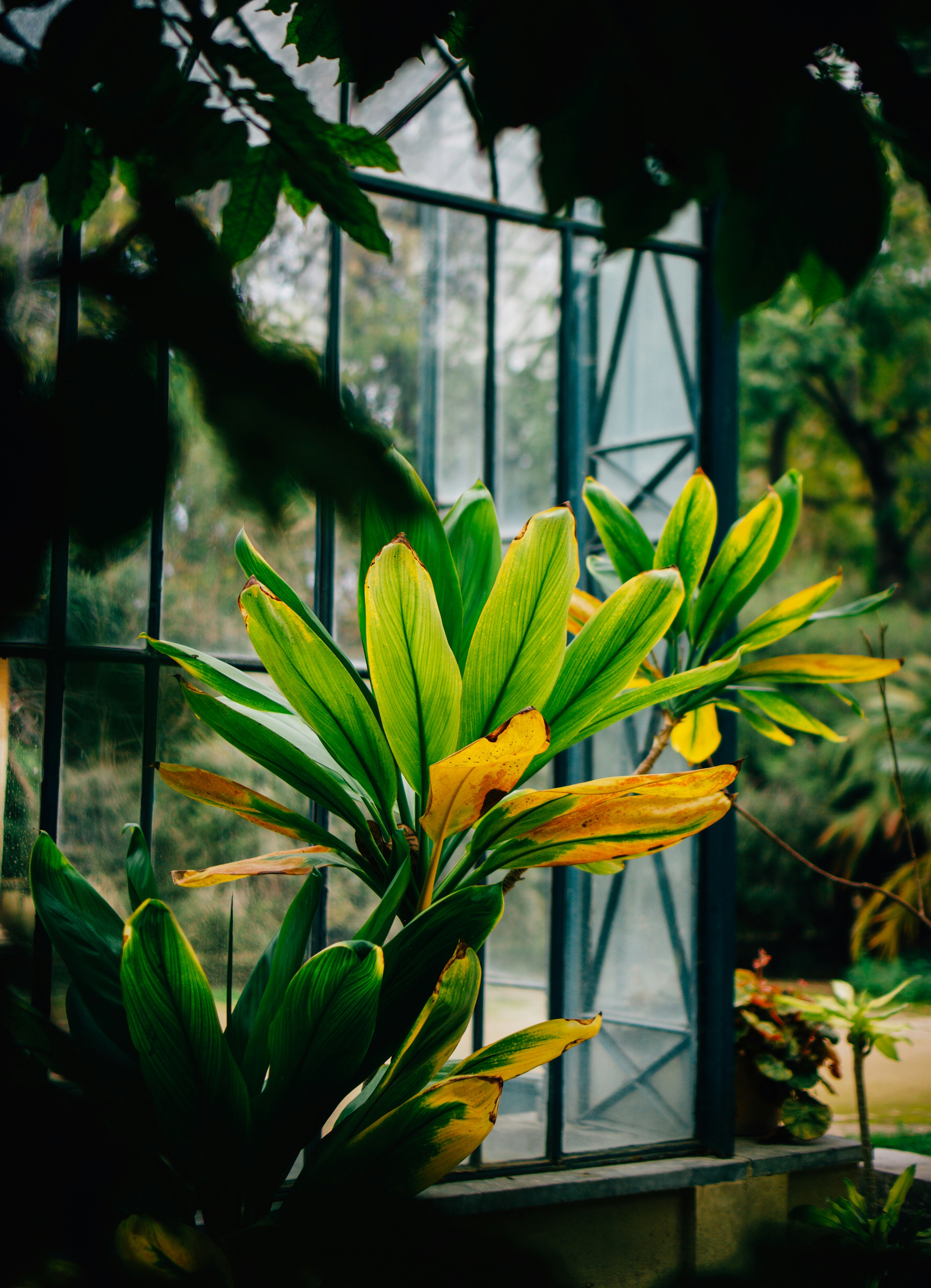 Photo by christianlue