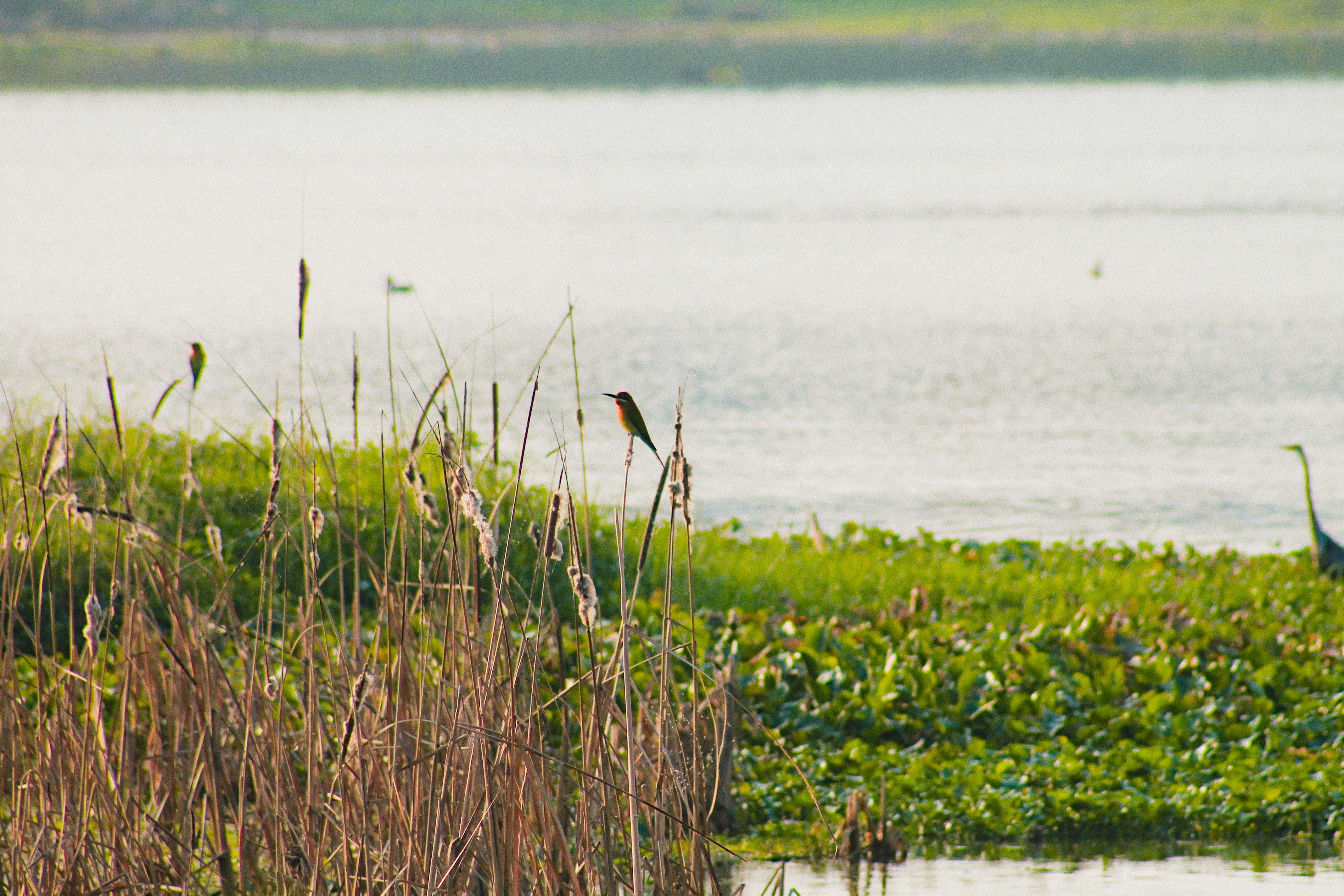 Photo by varun_venugopal