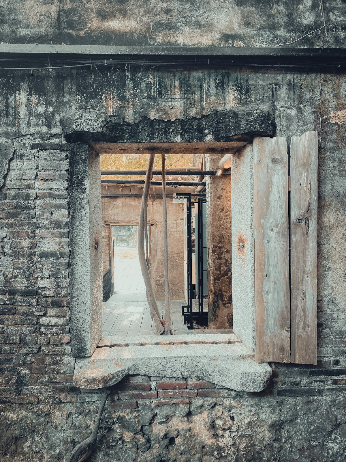 安平樹屋 — 榕樹氣根攀附在紅磚牆上