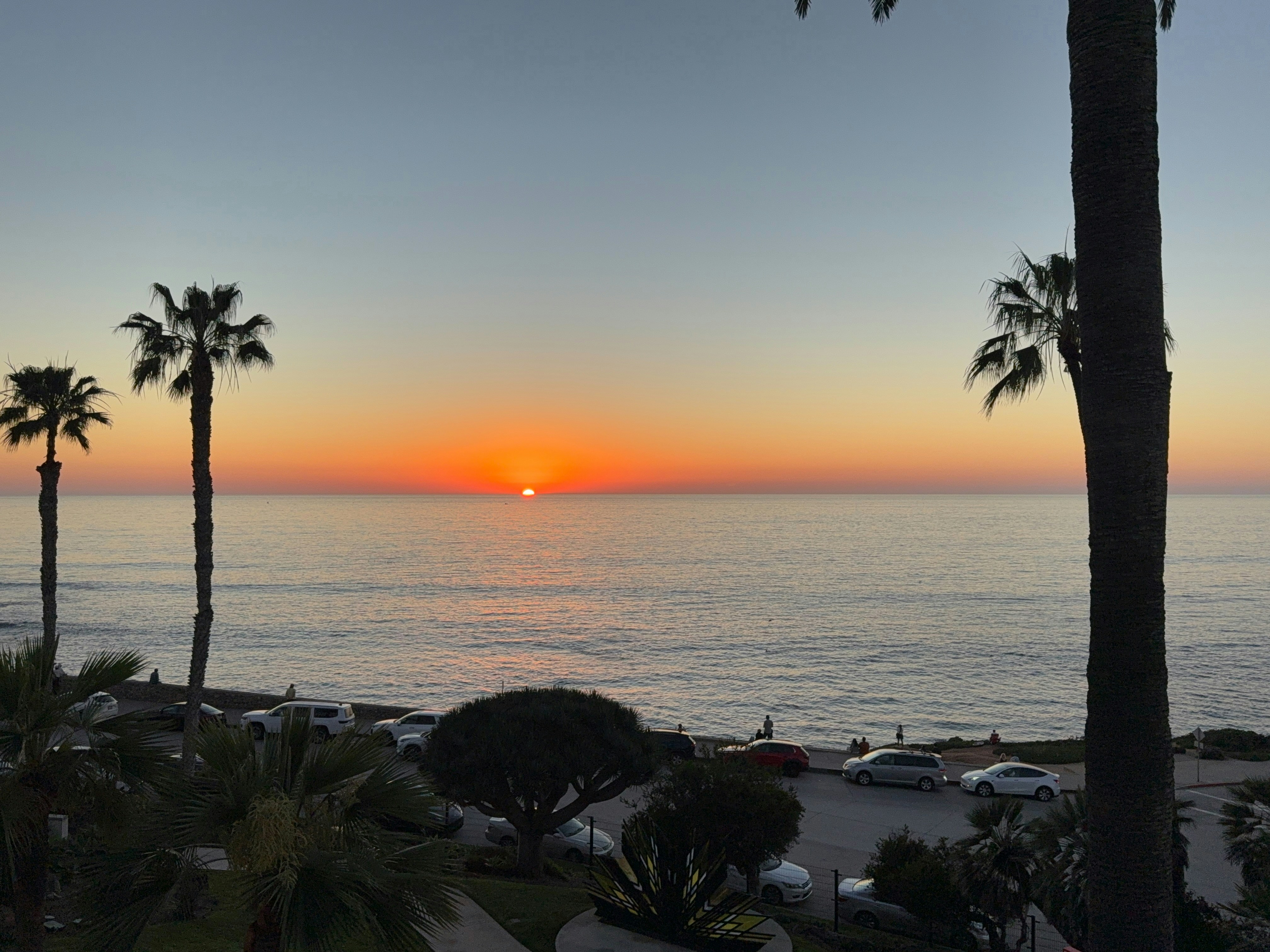 Sunset over the ocean with palm trees