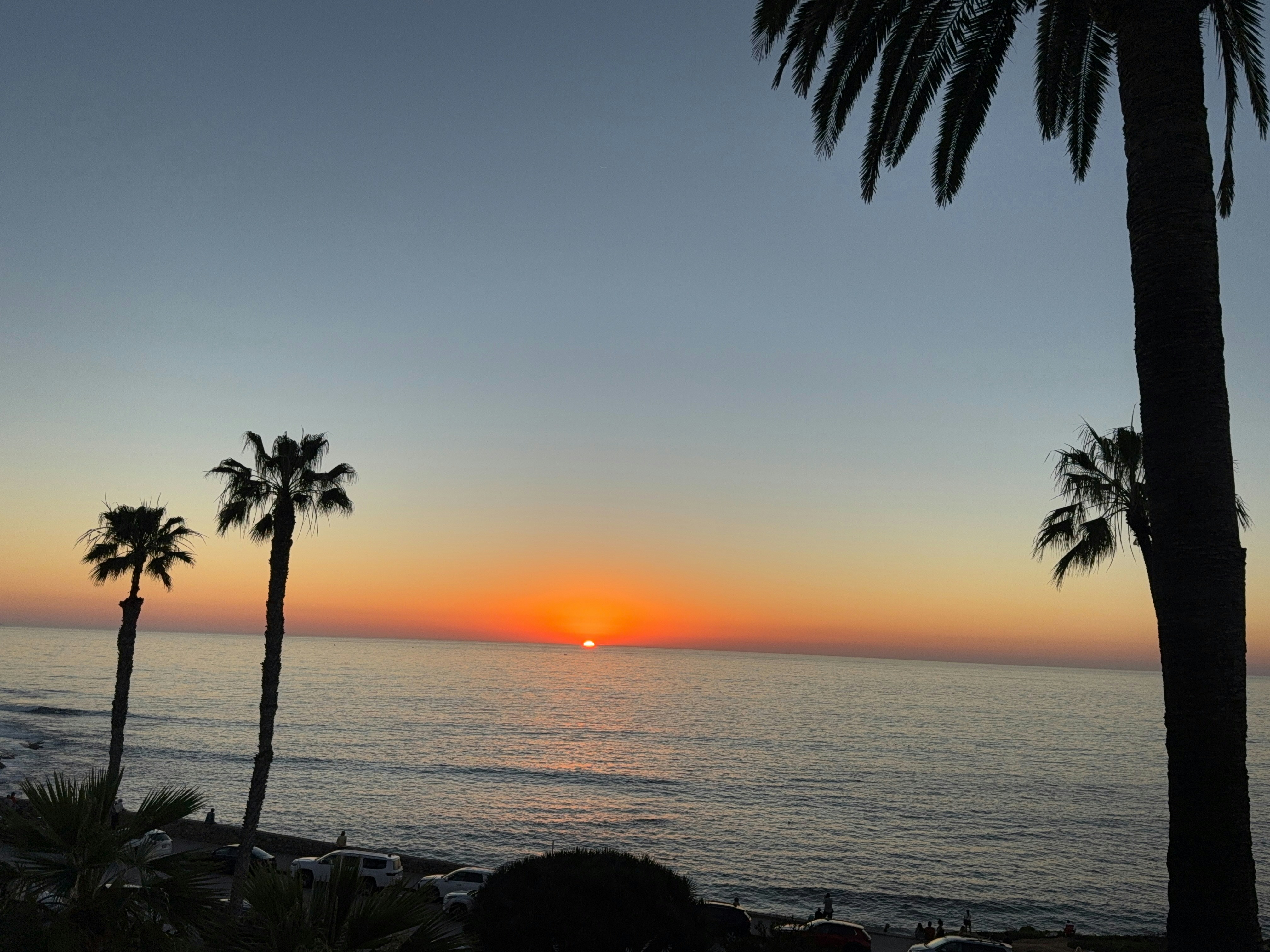 Sunset over the ocean with palm trees