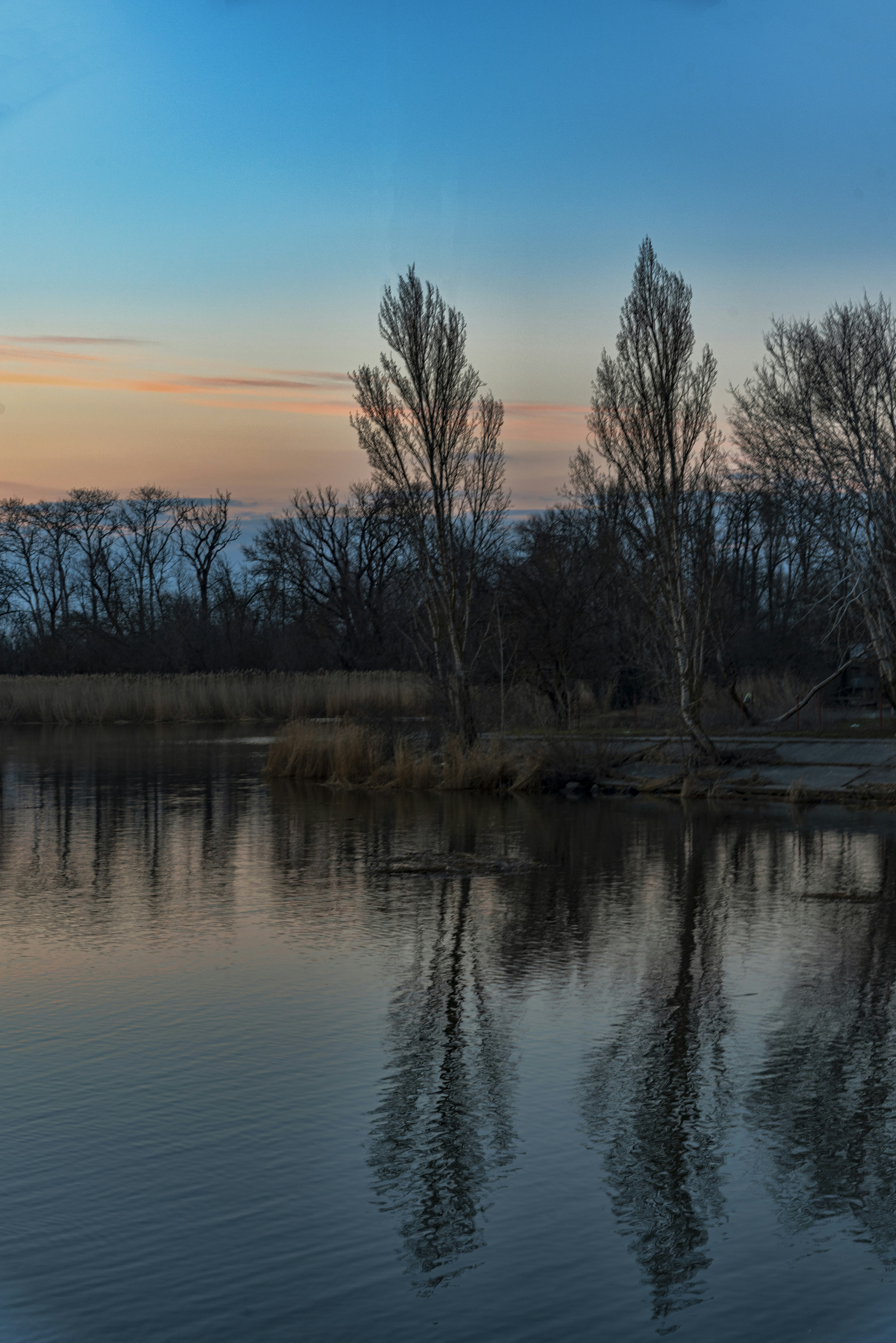 Photo by radomir456